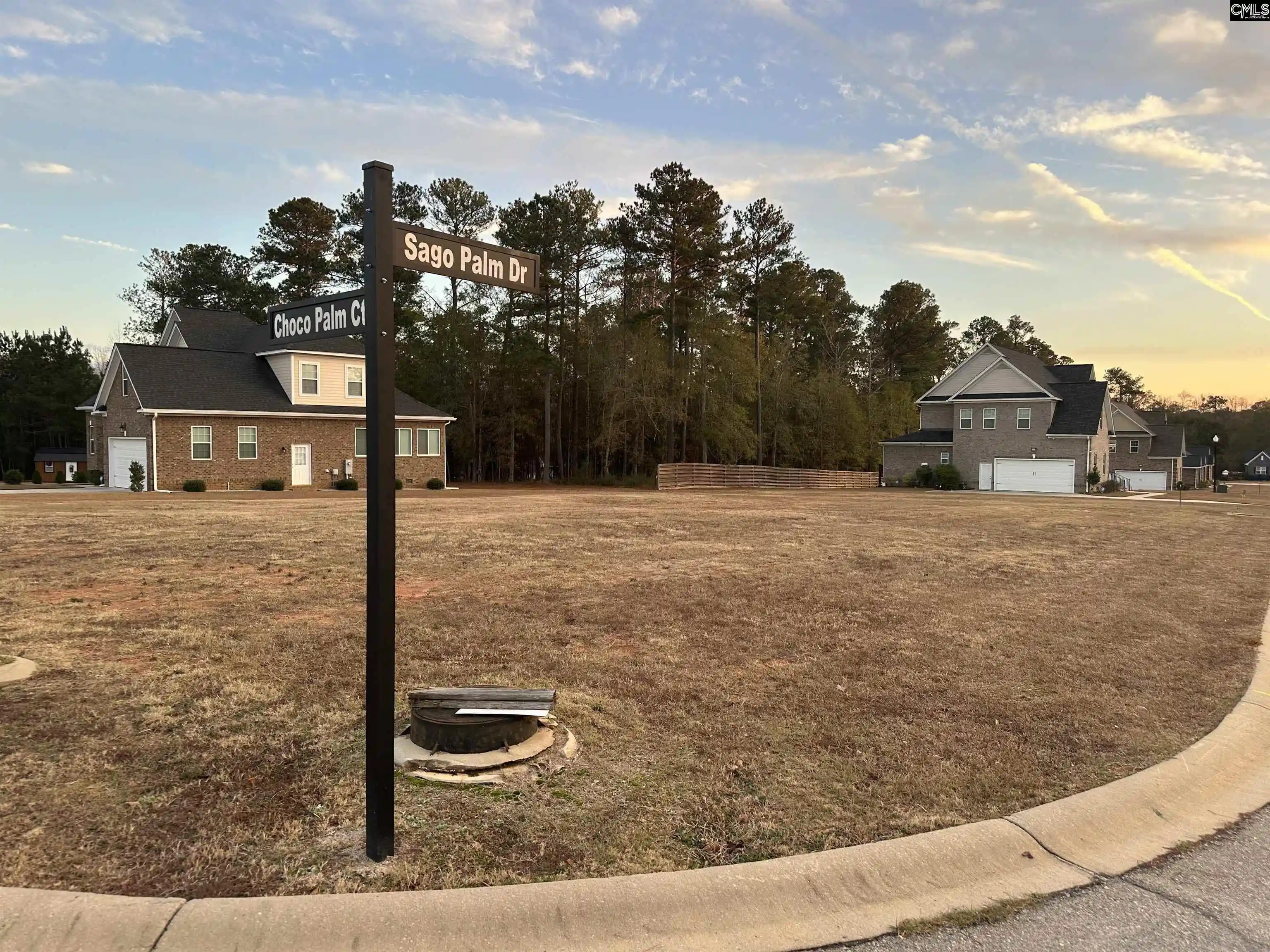 1st image of 000 Sago Palm, Orangeburg, SC 29118 | MLS# 623809