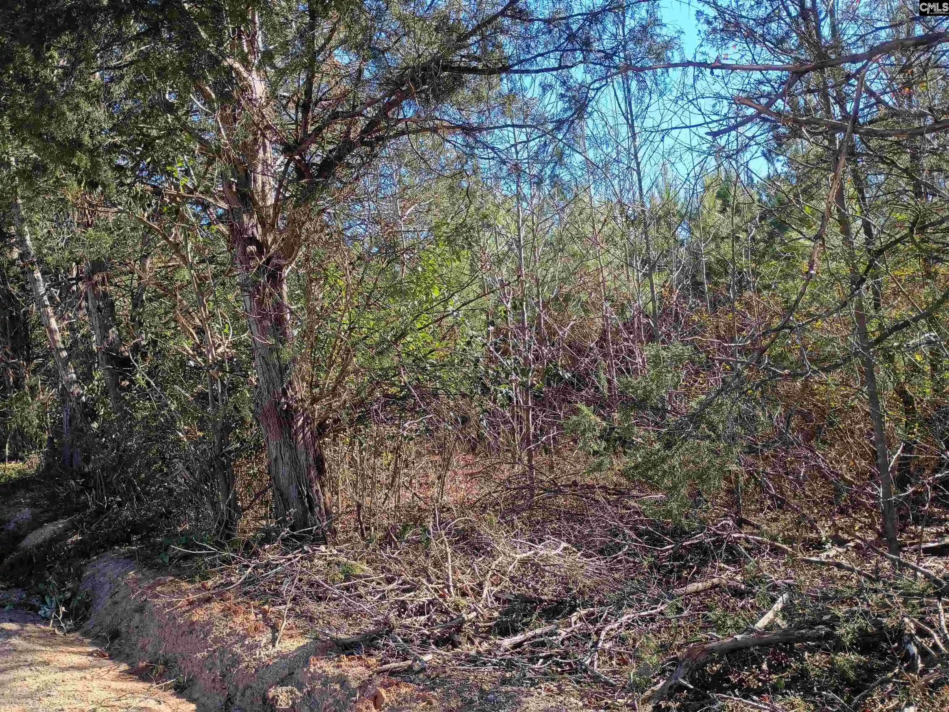 2nd image of 1163 Juneberry Rd, Camden, SC 29020 | MLS# 623941