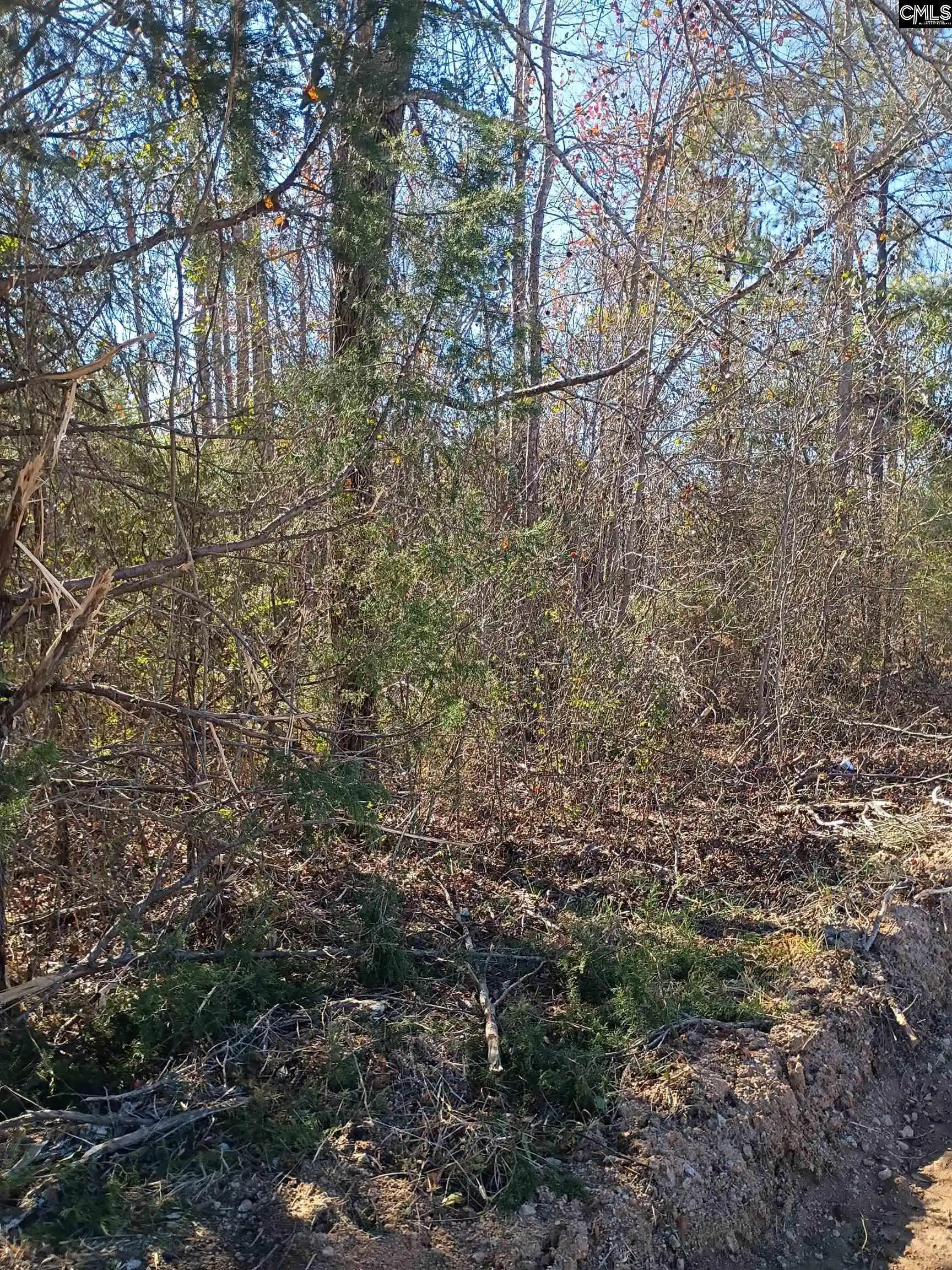 4th image of 1163 Juneberry Rd, Camden, SC 29020 | MLS# 623941
