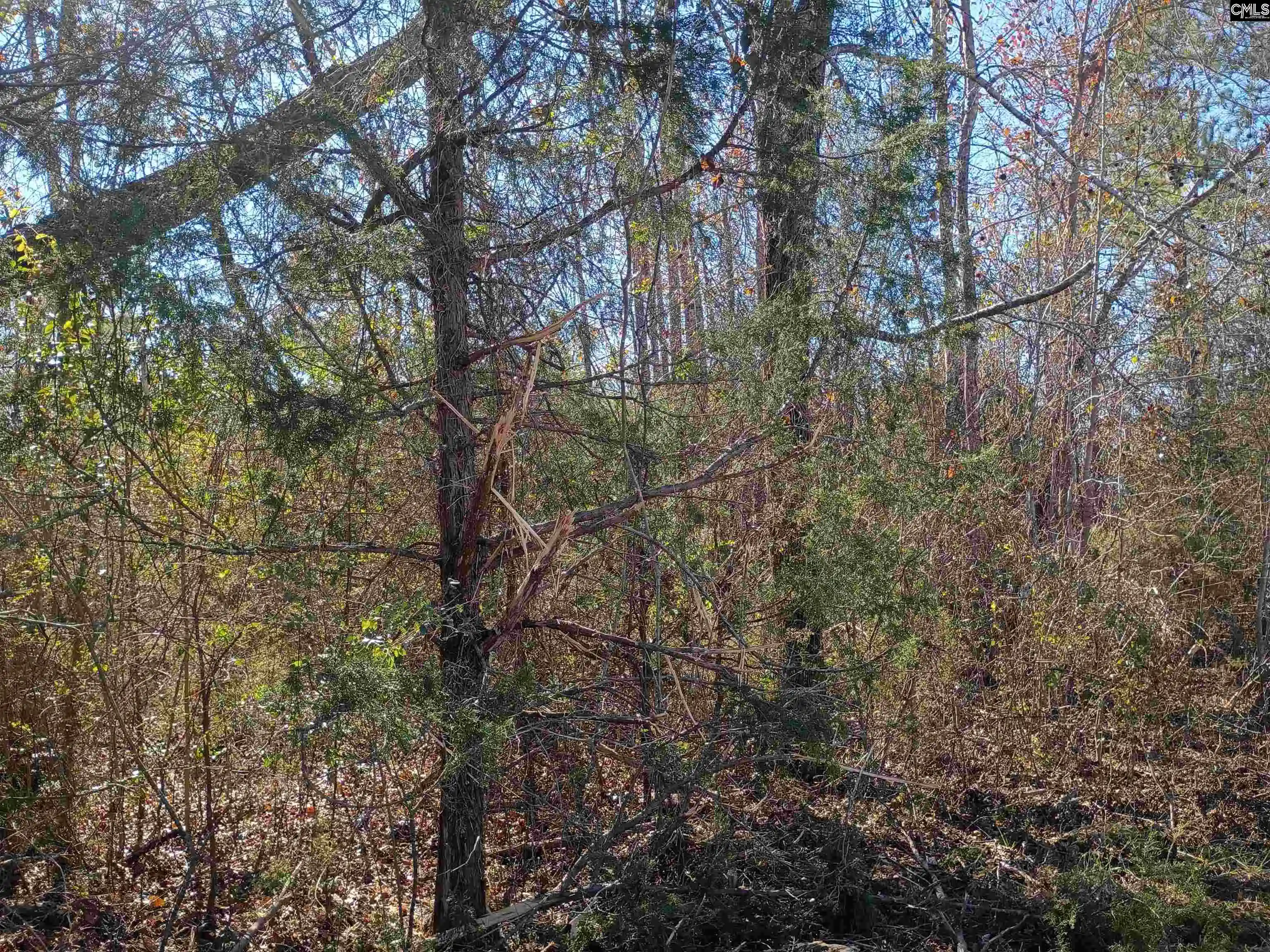 5th image of 1163 Juneberry Rd, Camden, SC 29020 | MLS# 623941