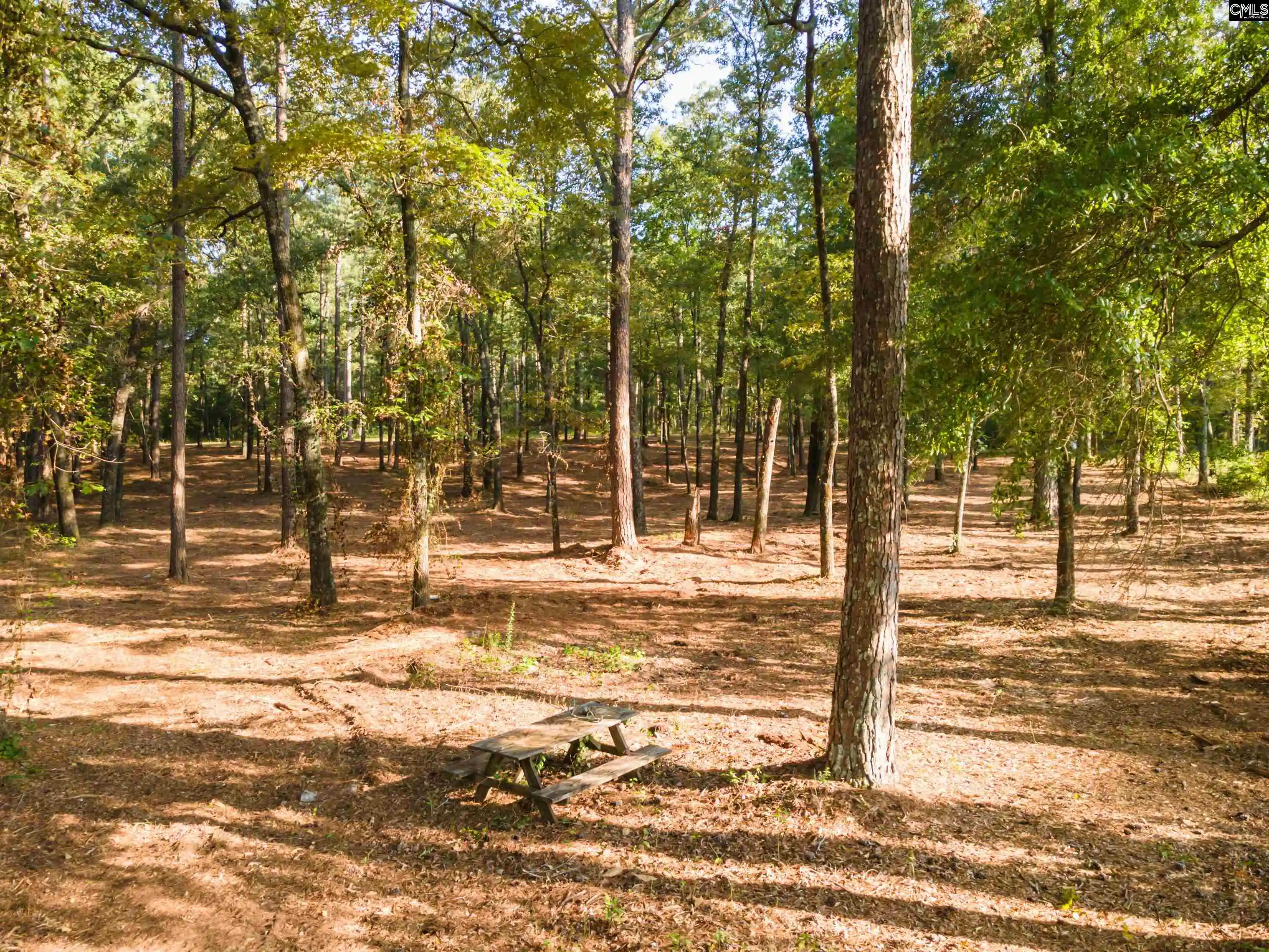 Homes for sale in Wagener, SC | Lot 39 Edisto Lake, Wagener, SC 29164 | MLS# 624027