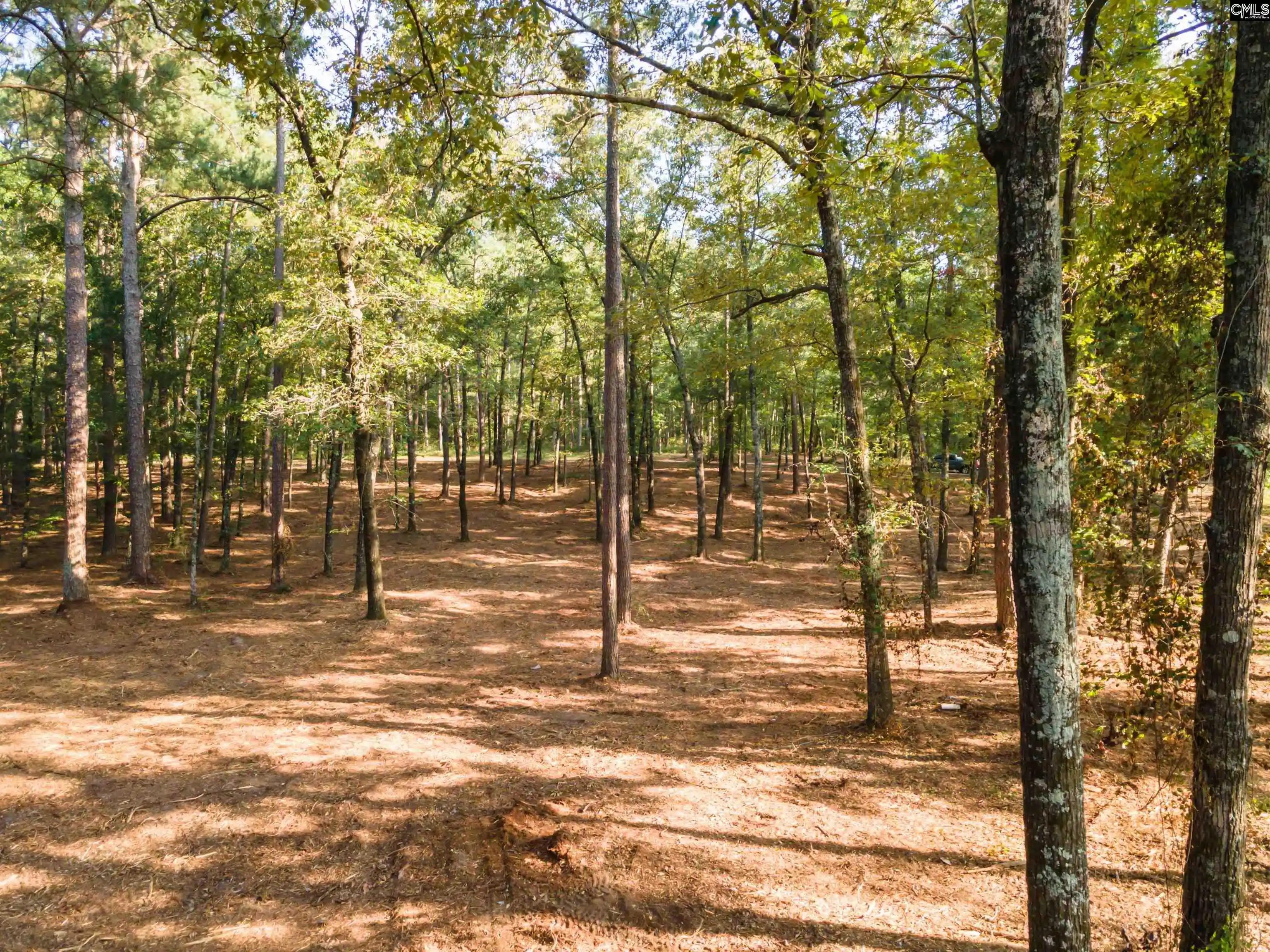 Homes for sale in Wagener, SC | Lot 39 Edisto Lake, Wagener, SC 29164 | MLS# 624027