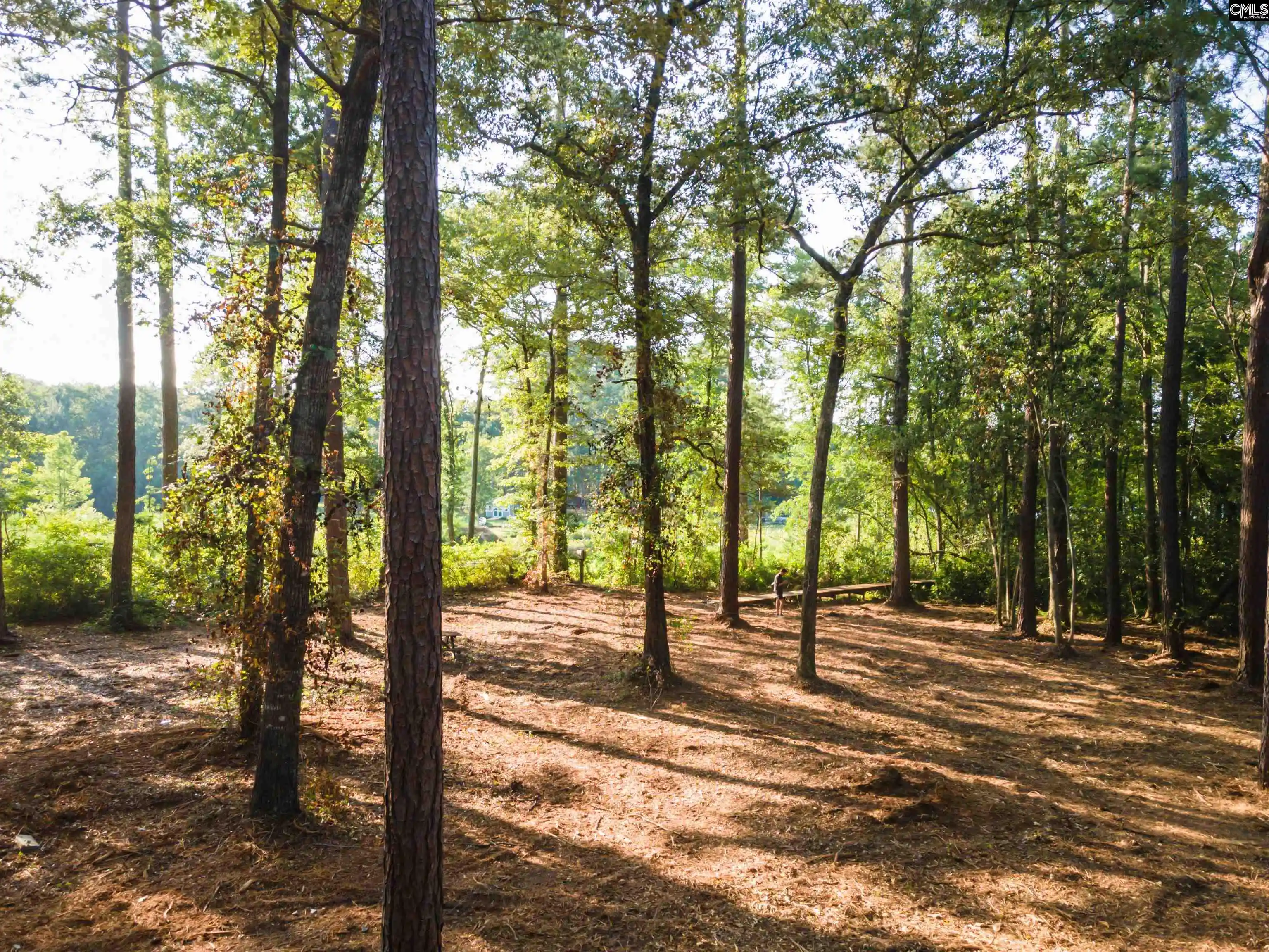 Homes for sale in Wagener, SC | Lot 39 Edisto Lake, Wagener, SC 29164 | MLS# 624027