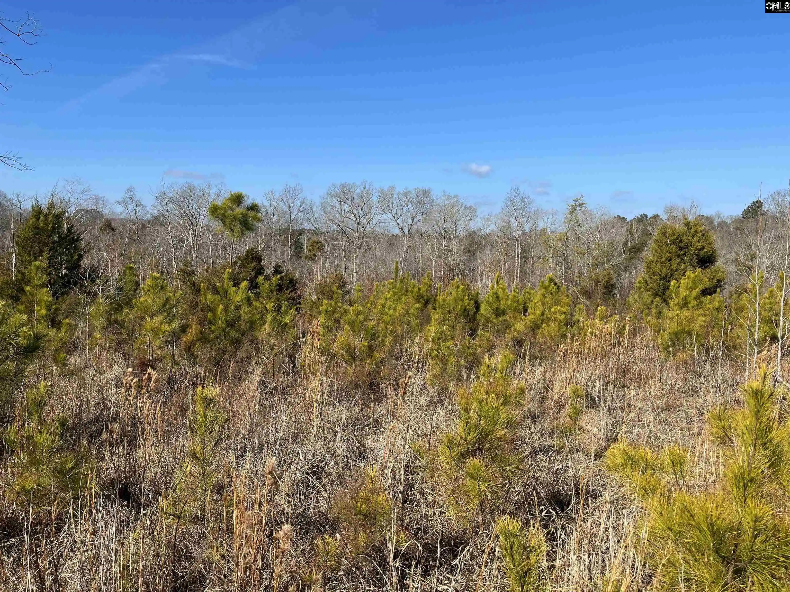 Photo 1 of Land for sale at 242 Chappell, Winnsboro, SC 29180 | MLS# 624664 | Listing updated on 2026-03-10