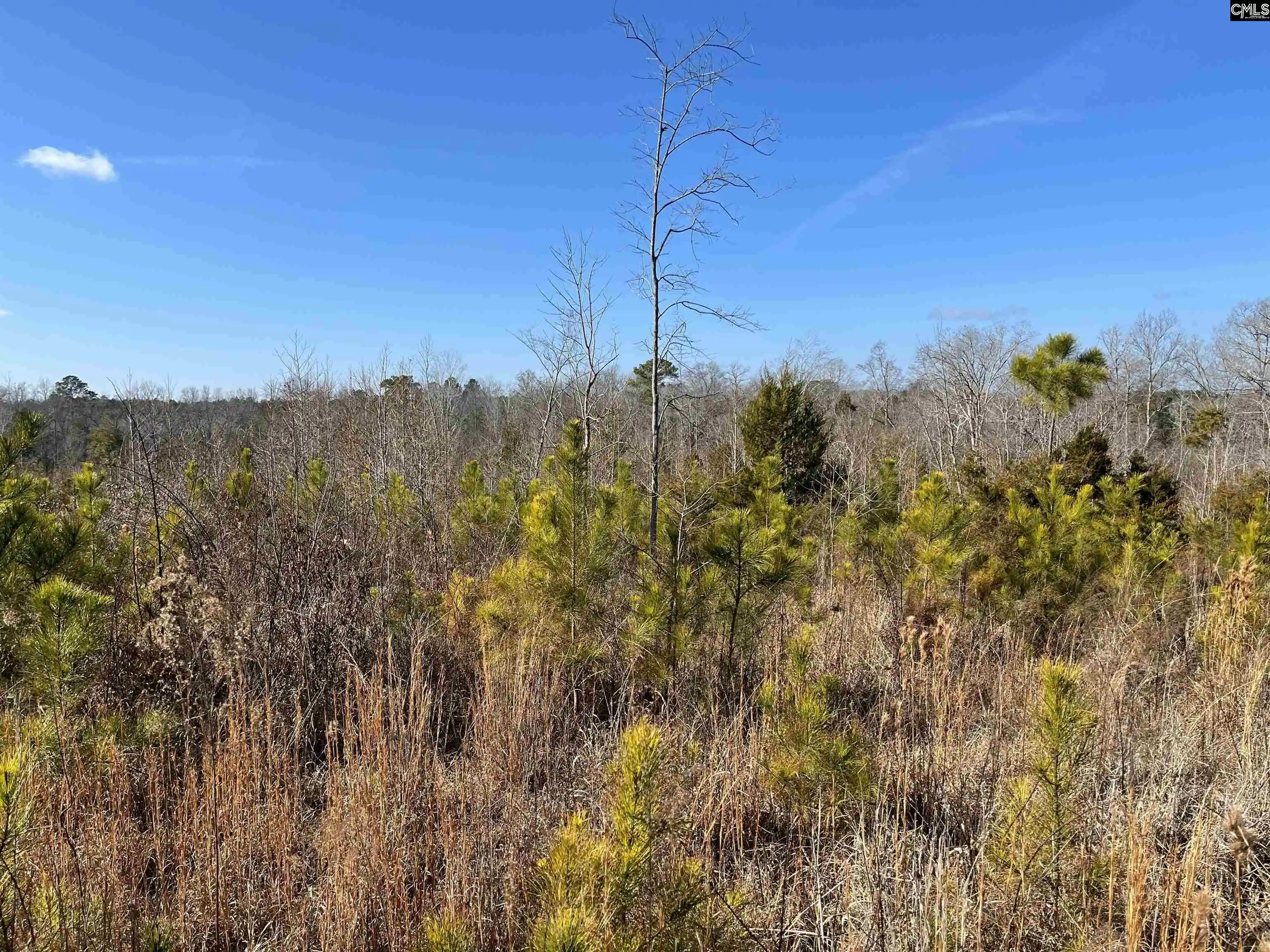 Photo 2 of Land for sale at 242 Chappell, Winnsboro, SC 29180 | MLS# 624664 | Listing updated on 2026-03-10