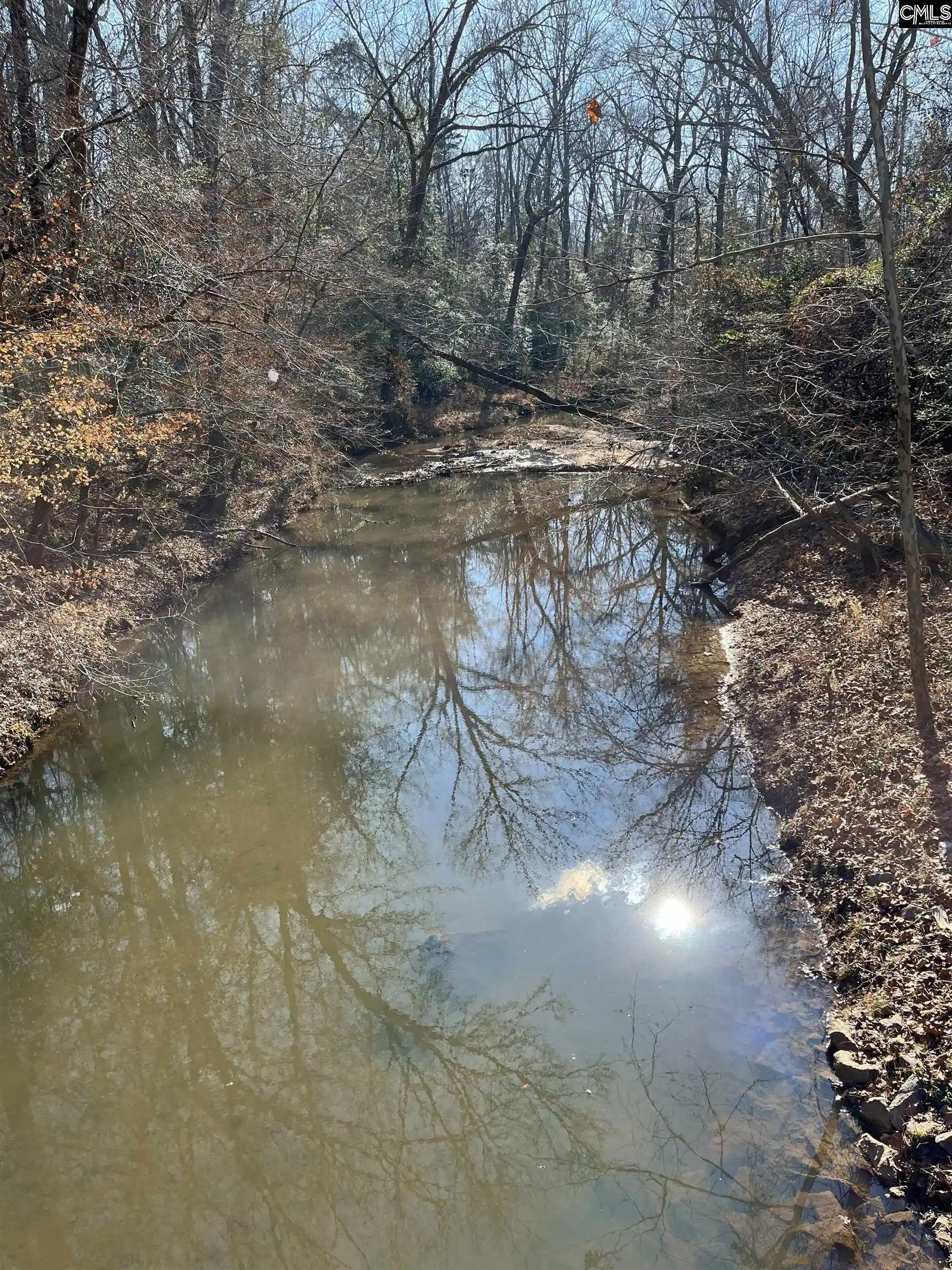 Photo 3 of Land for sale at 242 Chappell, Winnsboro, SC 29180 | MLS# 624664 | Listing updated on 2026-03-10