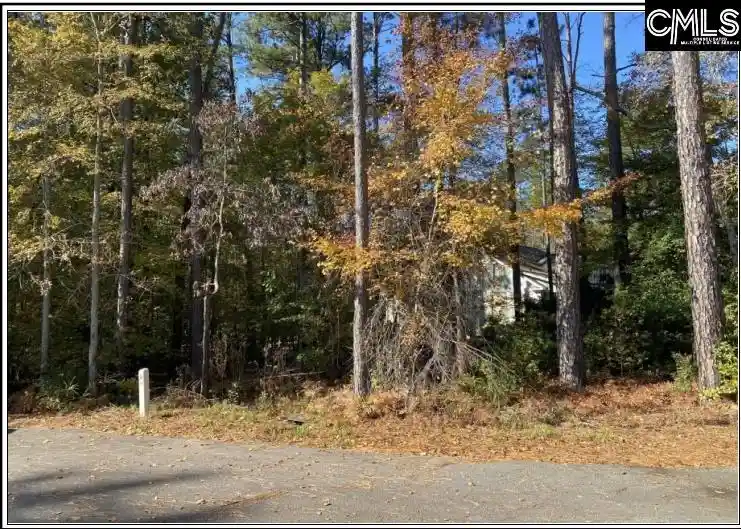 Homes for sale in Leesville, SC | 106 Admirals Point, Leesville, SC 29070 | MLS# 624839