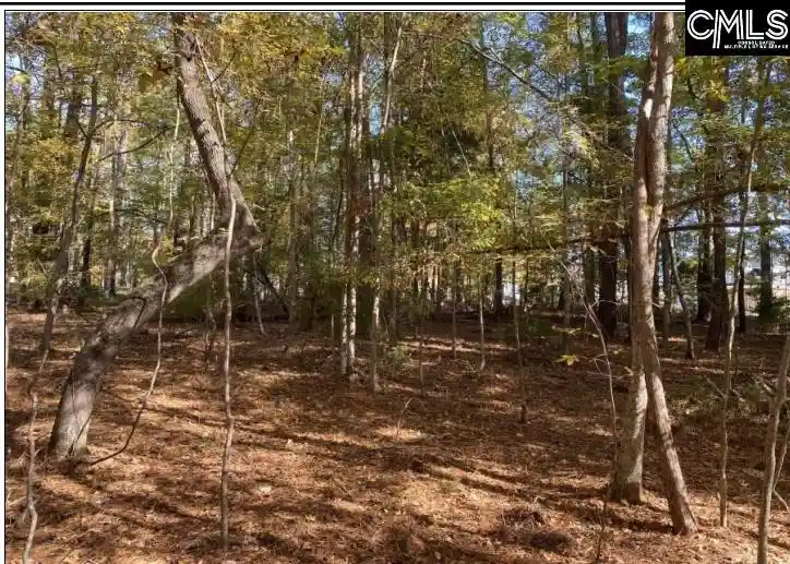 Photo 8 of Land for sale at 106 Admirals Point, Leesville, SC 29070 | MLS# 624839 | Listing updated on 2026-08-31