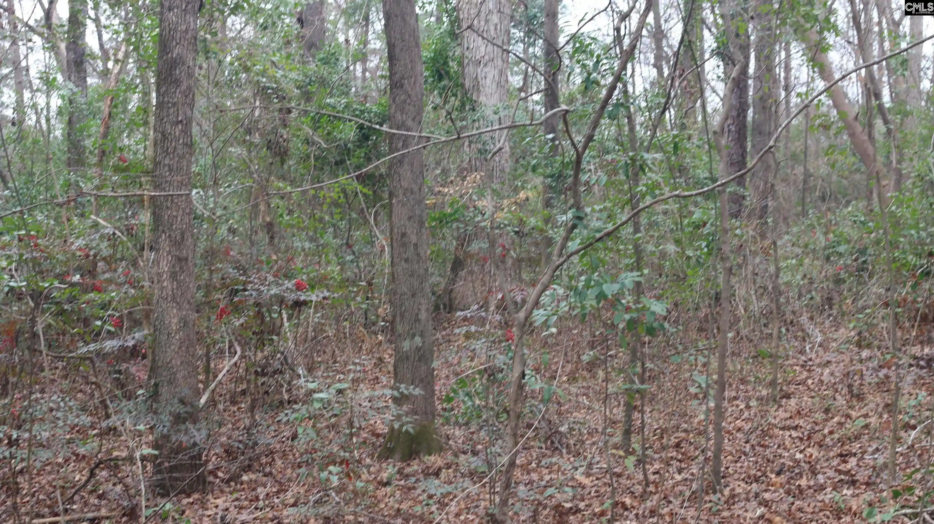 Photo 3 of Sale Pending at 291 Big Timber, Lexington, SC 29073 | MLS# 624994 | Listing updated on 2026-08-29
