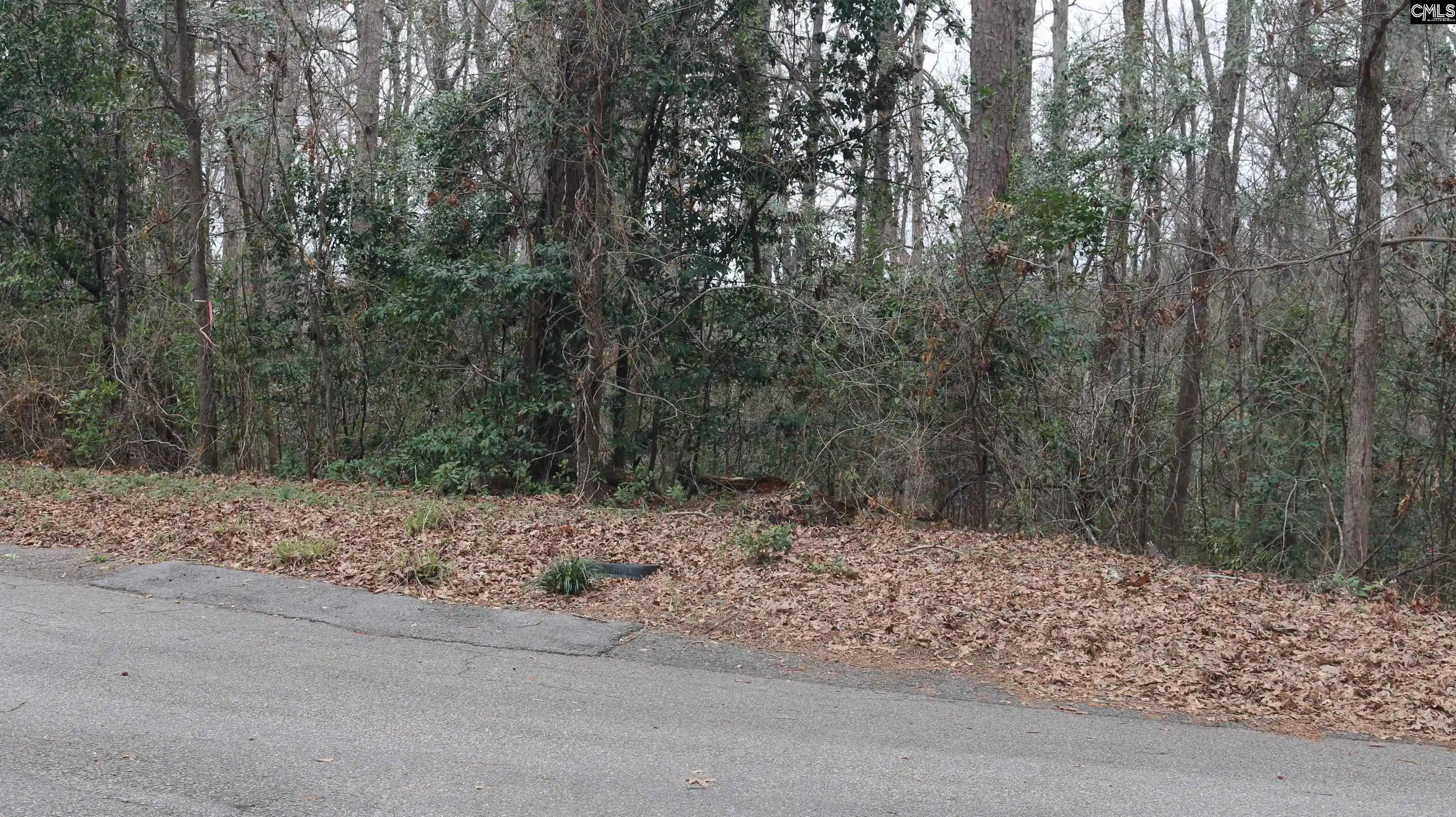 Photo 3 of Sale Pending at 291 Big Timber, Lexington, SC 29073 | MLS# 624994 | Listing updated on 2026-08-29