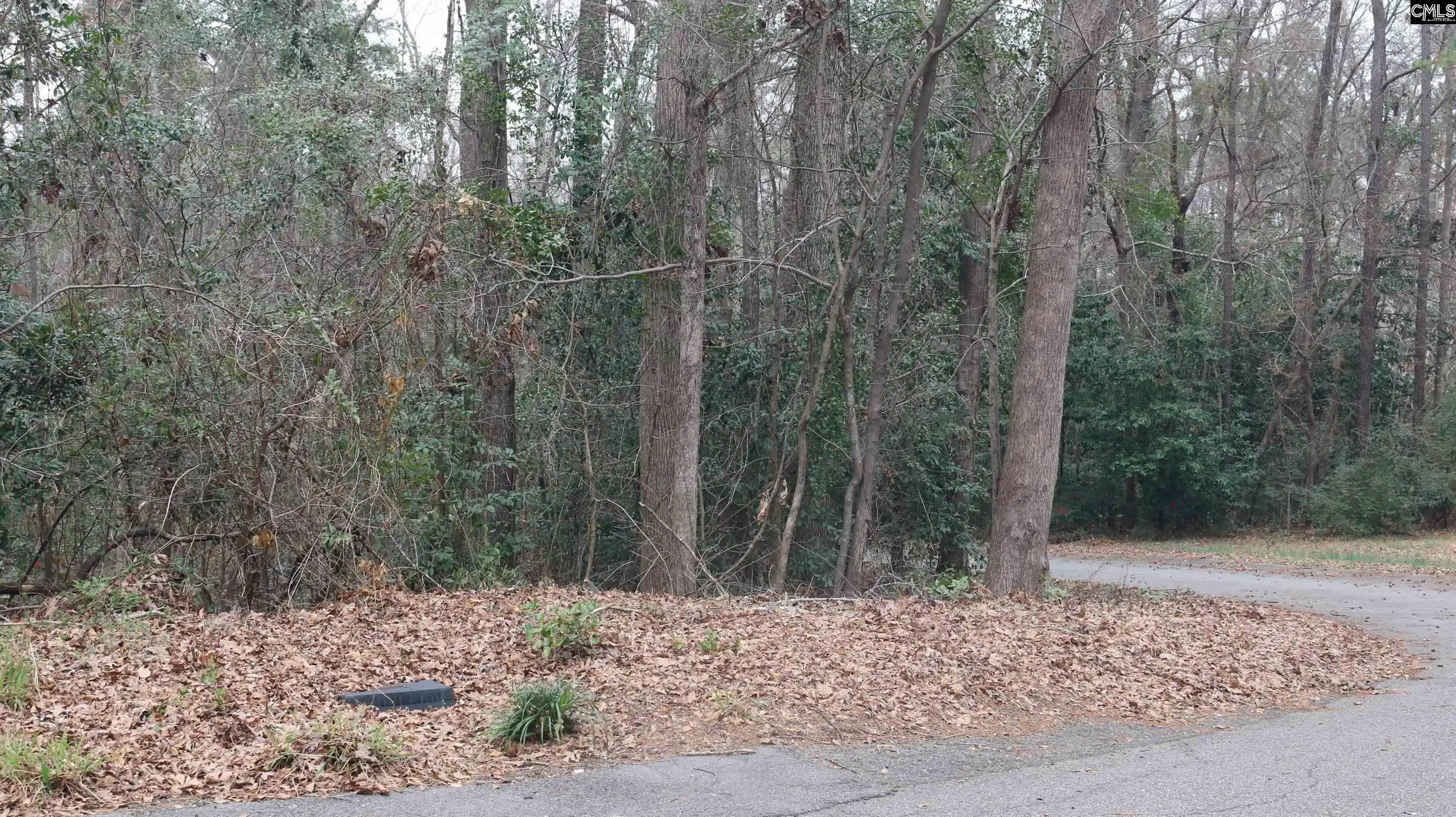 Photo 4 of Sale Pending at 291 Big Timber, Lexington, SC 29073 | MLS# 624994 | Listing updated on 2026-08-29