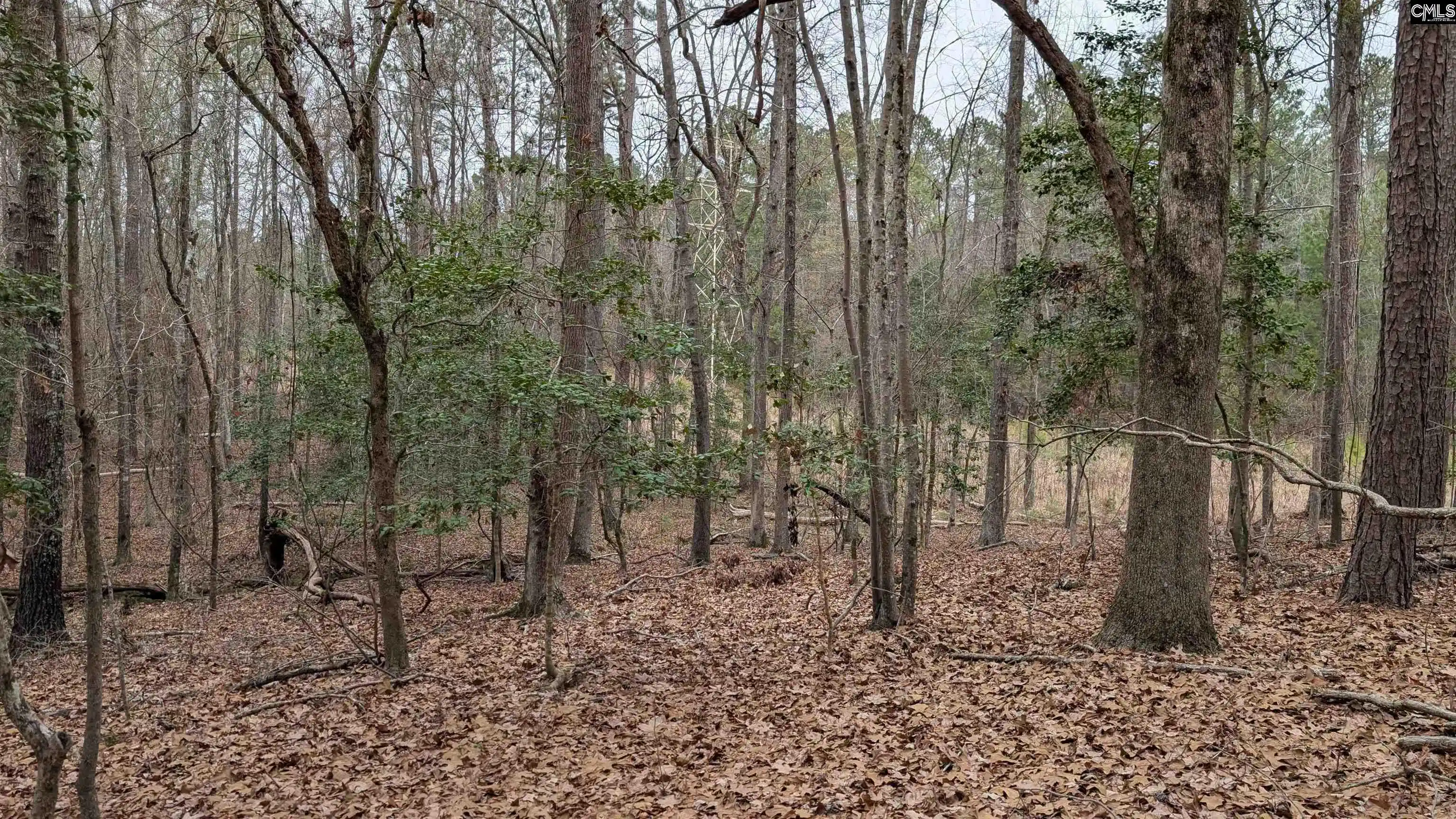Photo 3 of Sale Pending at Lots B & C Miller, Camden, SC 29020 | MLS# 625083 | Listing updated on 2026-07-16