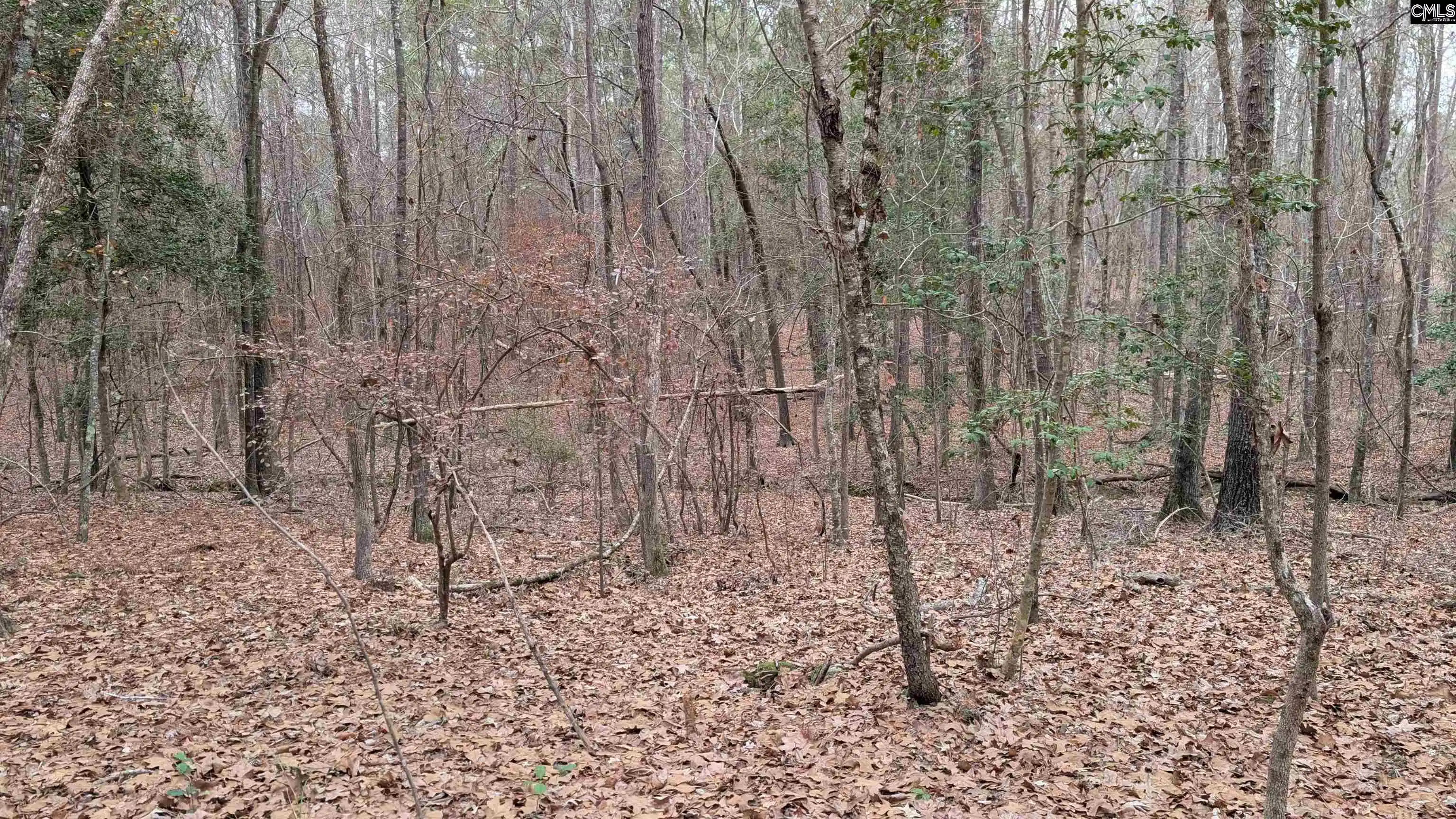 Photo 4 of Sale Pending at Lots B & C Miller, Camden, SC 29020 | MLS# 625083 | Listing updated on 2026-07-16