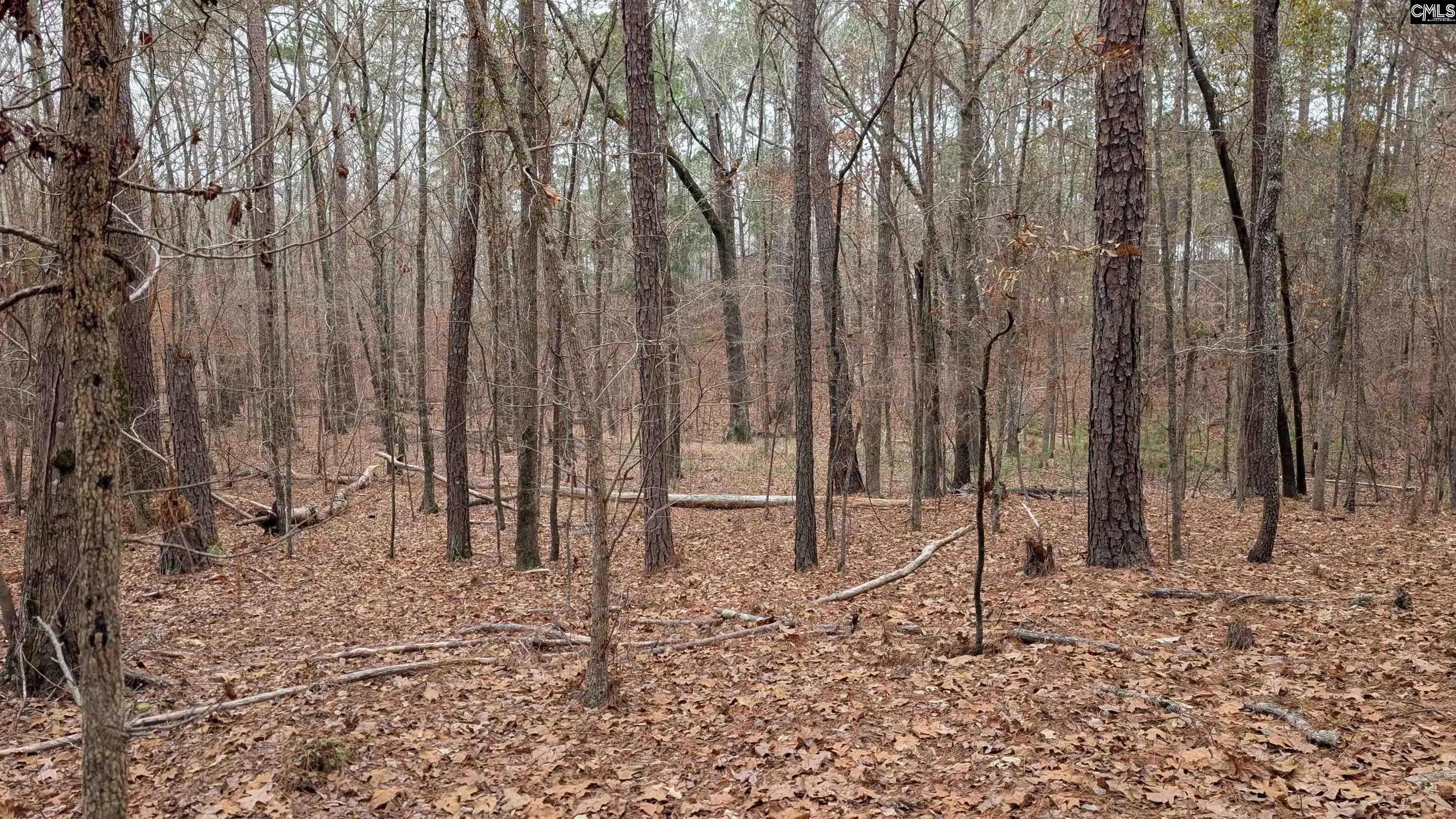 Photo 5 of Sale Pending at Lots B & C Miller, Camden, SC 29020 | MLS# 625083 | Listing updated on 2026-07-16