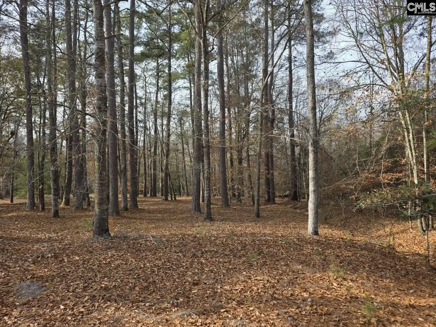 1st image of 142 Orange Parish, Orangeburg, SC 29118 | MLS# 625319