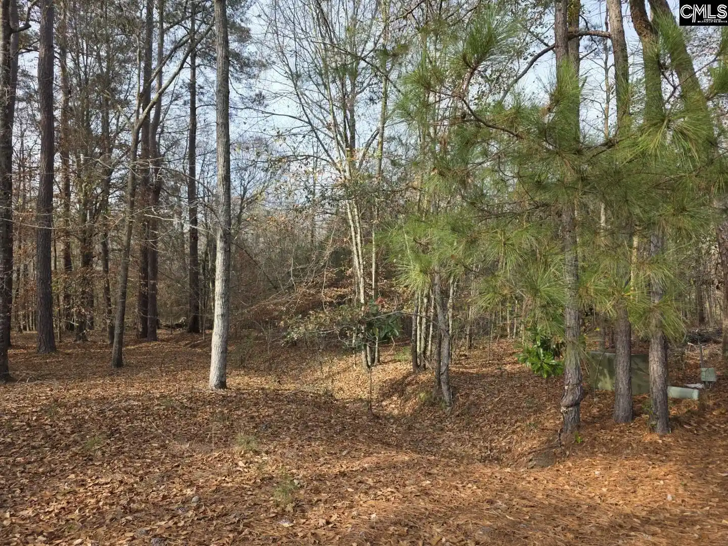 Photo 3 of Sale Pending at 142 Orange Parish, Orangeburg, SC 29118 | MLS# 625319 | Listing updated on 2026-08-27