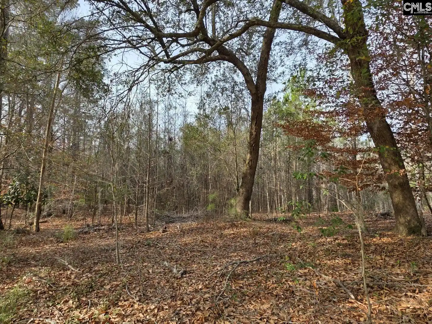 8th image of 142 Orange Parish, Orangeburg, SC 29118 | MLS# 625319