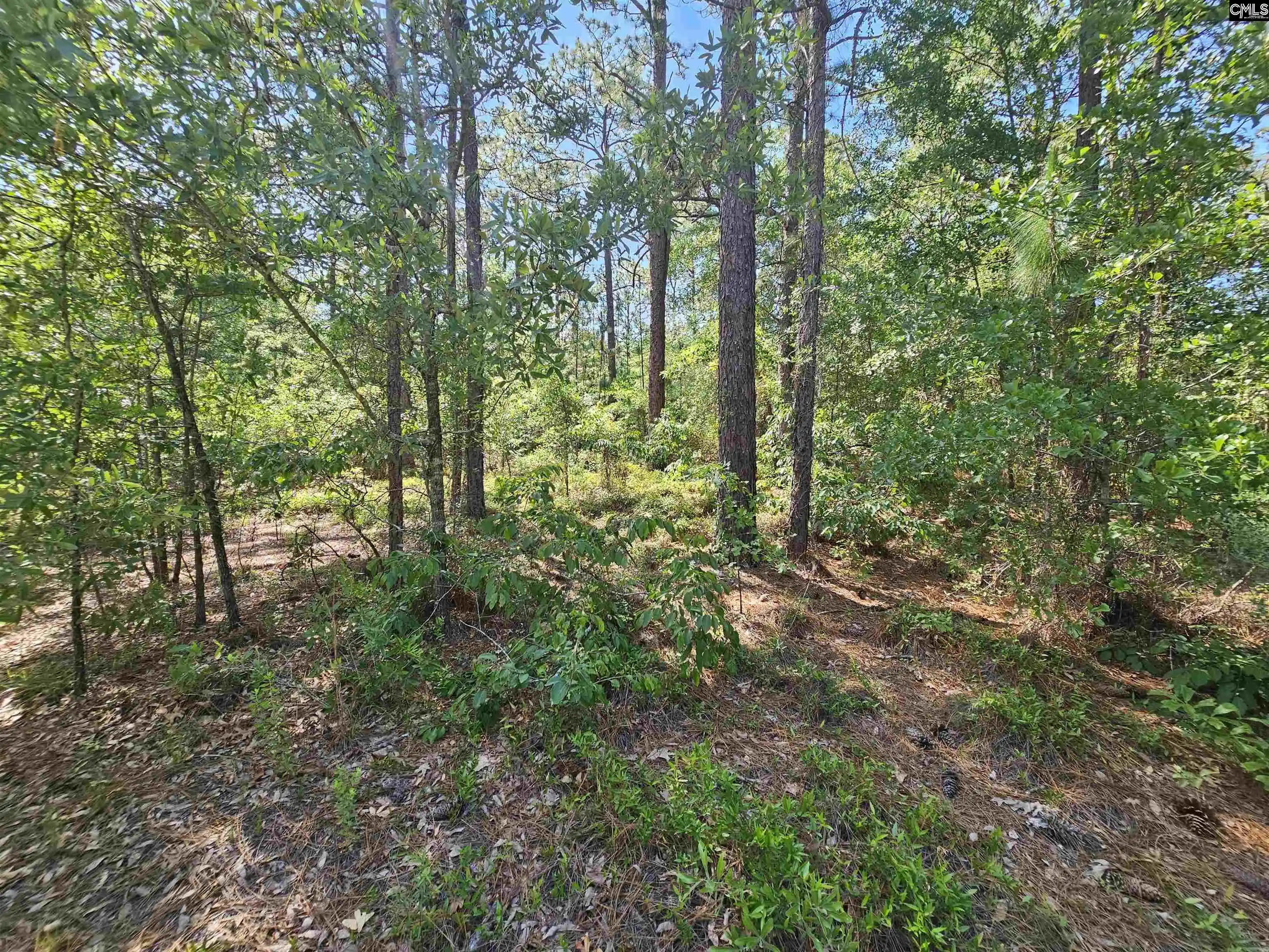 3rd image of 170 Happy Ridge, West Columbia, SC 29170 | MLS# 625354