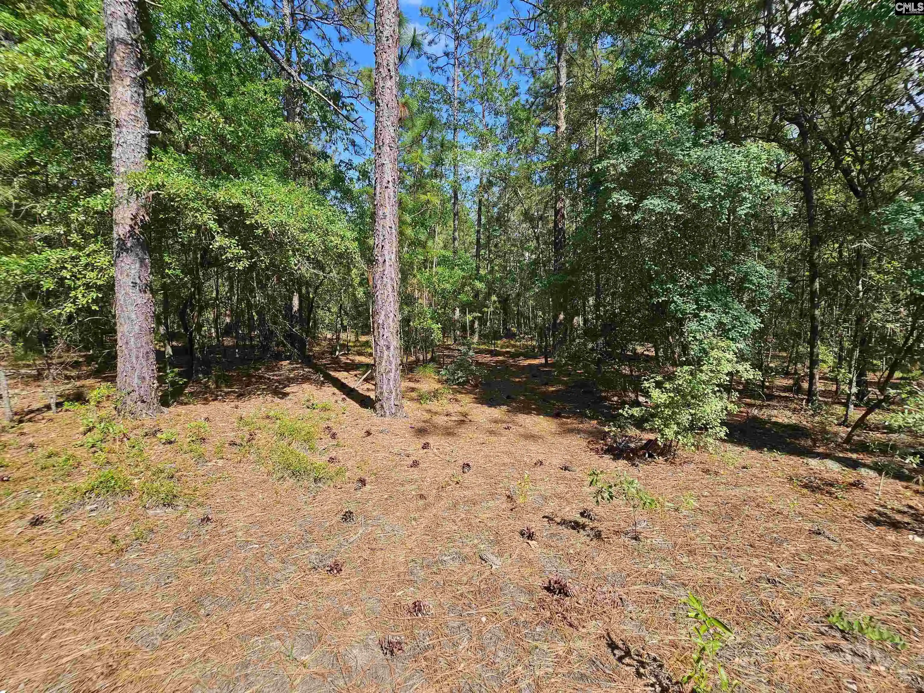 4th image of 170 Happy Ridge, West Columbia, SC 29170 | MLS# 625354