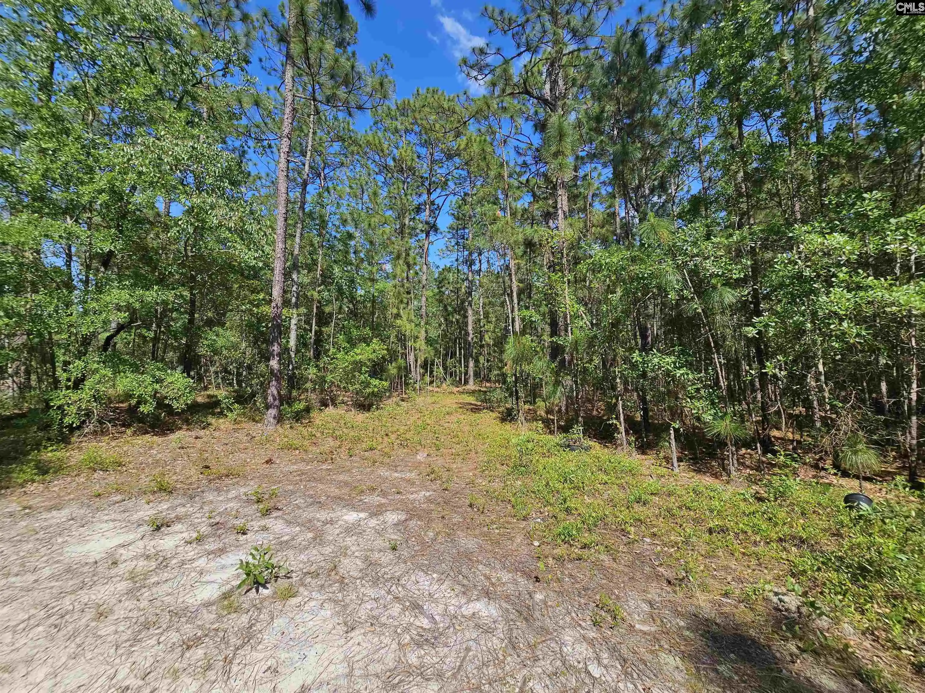 5th image of 170 Happy Ridge, West Columbia, SC 29170 | MLS# 625354