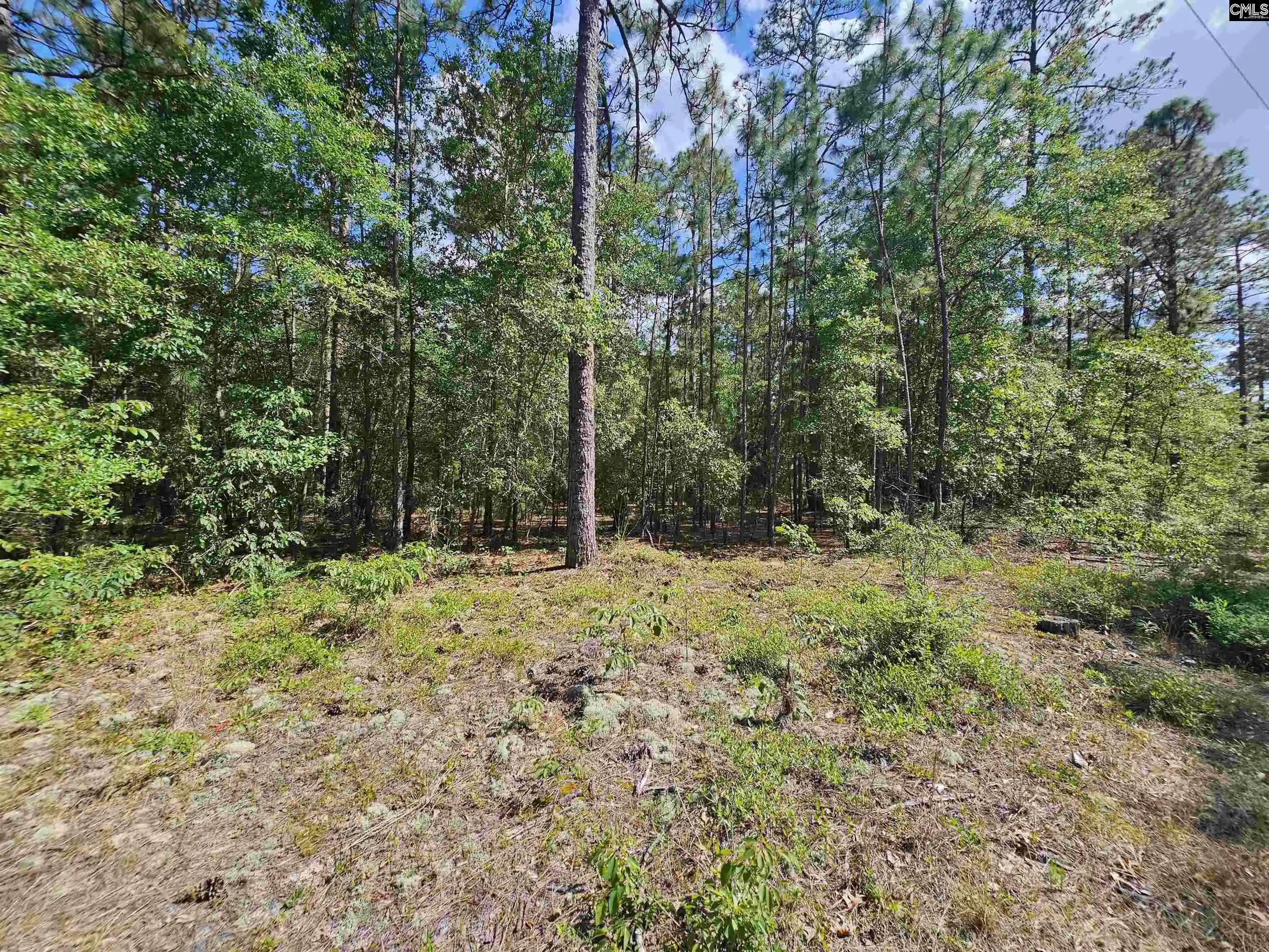 24th image of 170 Happy Ridge, West Columbia, SC 29170 | MLS# 625354