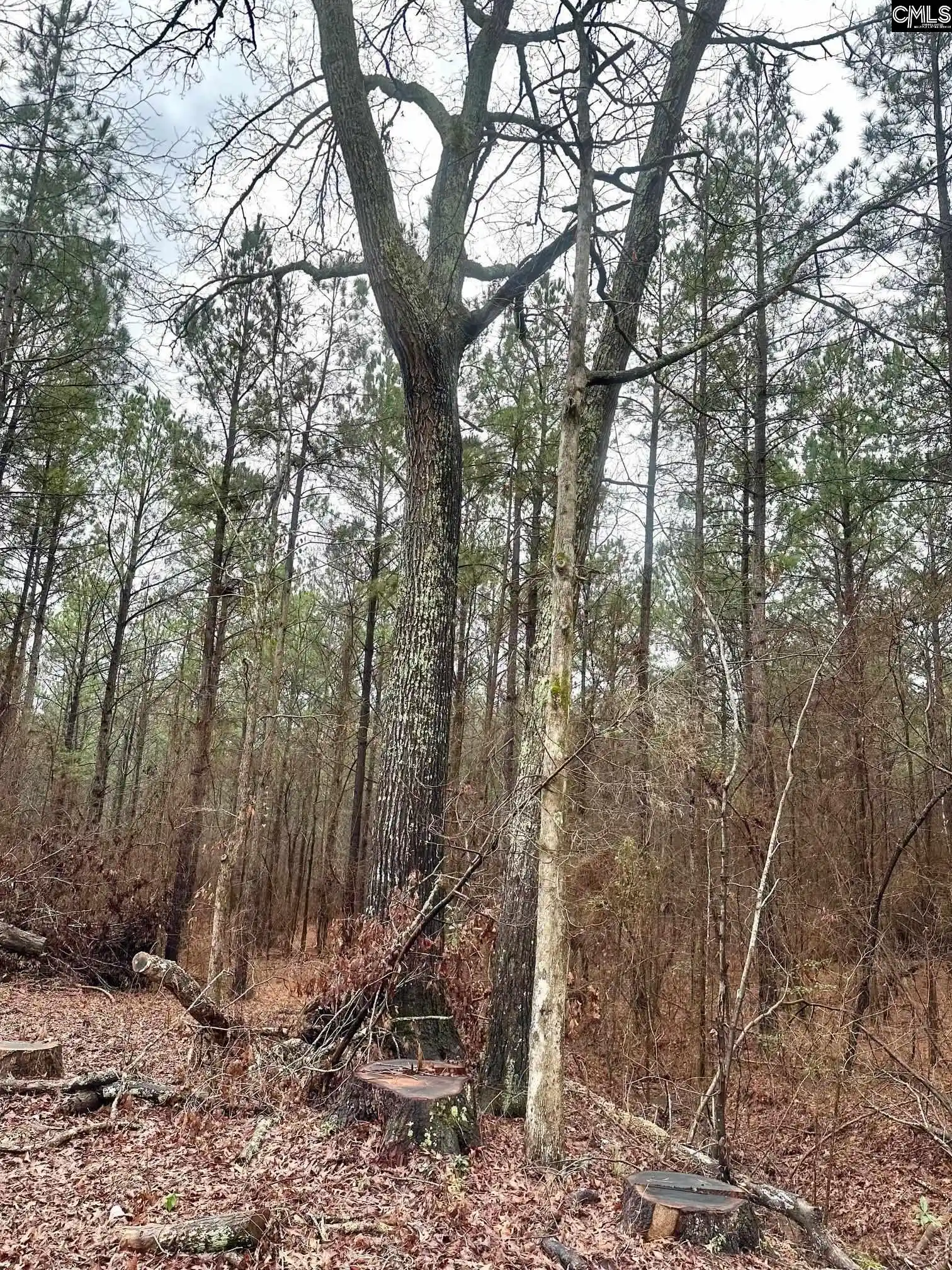2nd image of 1176 Great Falls, Chester, SC 29706 | MLS# 625375