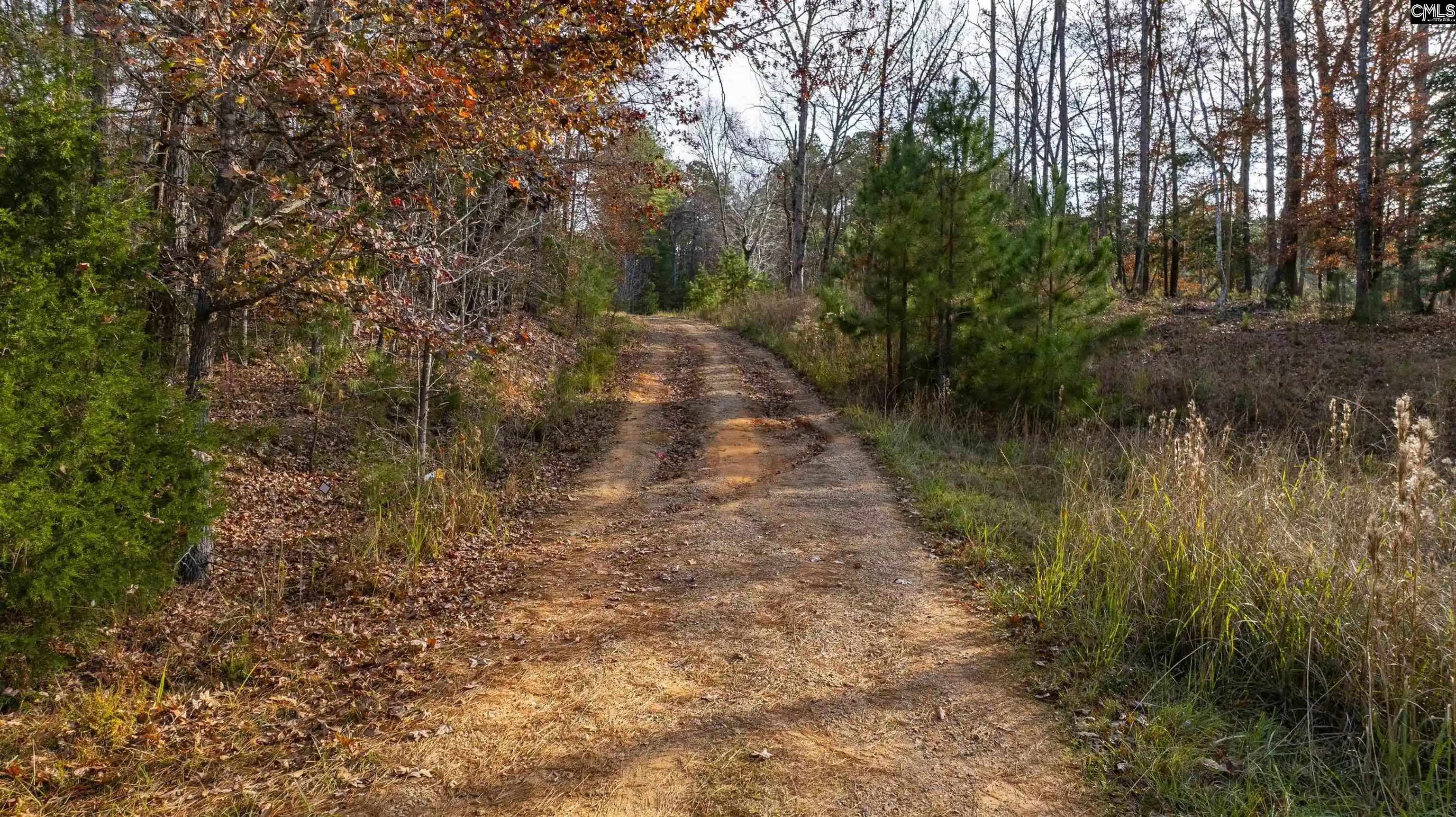 Photo 3 of Sale Pending at Ne S Muddy Ford, Little Mountain, SC 29075 | MLS# 625491 | Listing updated on 2026-02-27