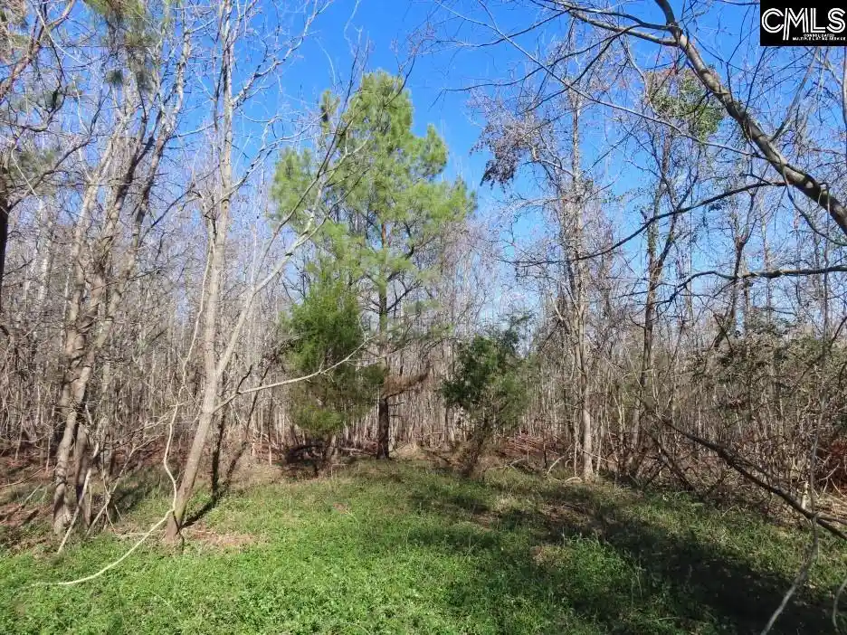 Photo 2 of Land for sale at 0 Cook, Ridgeway, SC 29130 | MLS# 625740 | Listing updated on 2026-03-26