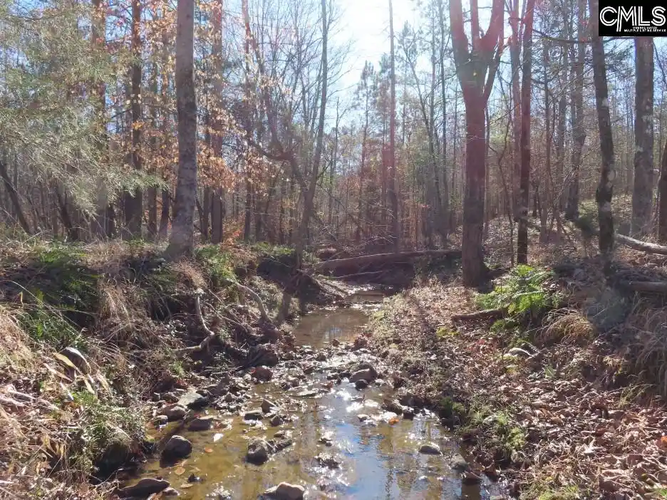 Photo 4 of Land for sale at 0 Cook, Ridgeway, SC 29130 | MLS# 625740 | Listing updated on 2026-03-26