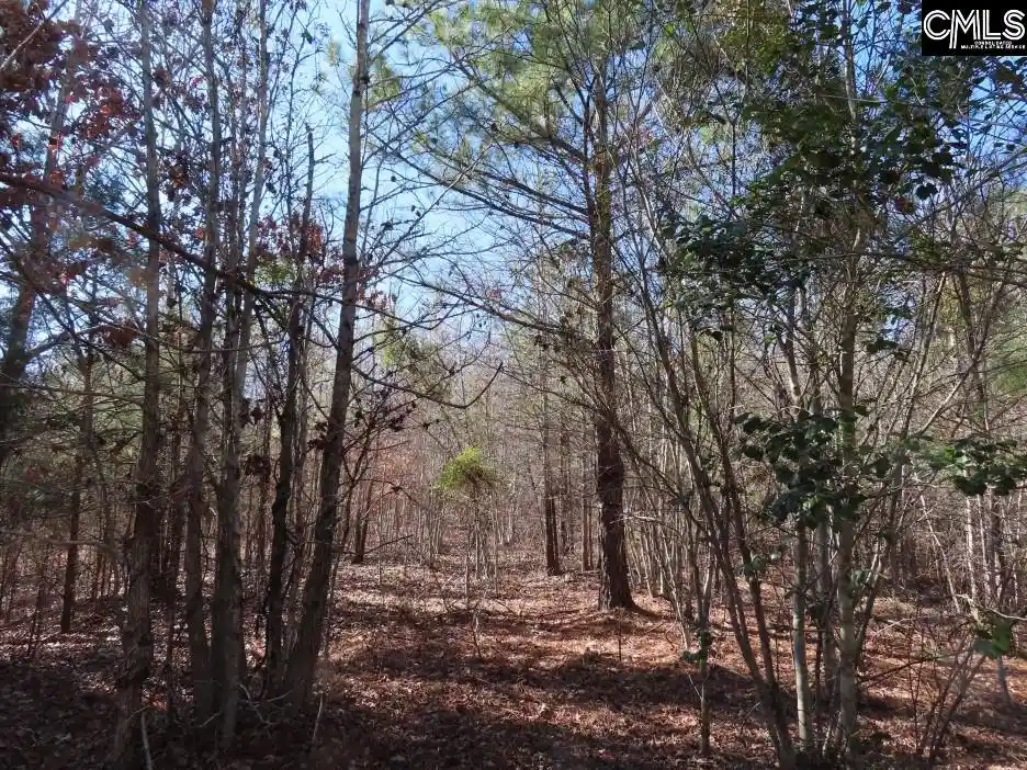 Photo 5 of Land for sale at 0 Cook, Ridgeway, SC 29130 | MLS# 625740 | Listing updated on 2026-03-26