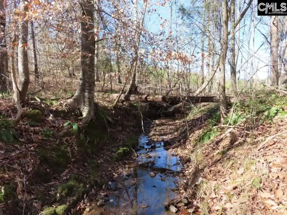 Photo 51 of Land for sale at 0 Cook, Ridgeway, SC 29130 | MLS# 625740 | Listing updated on 2026-03-26