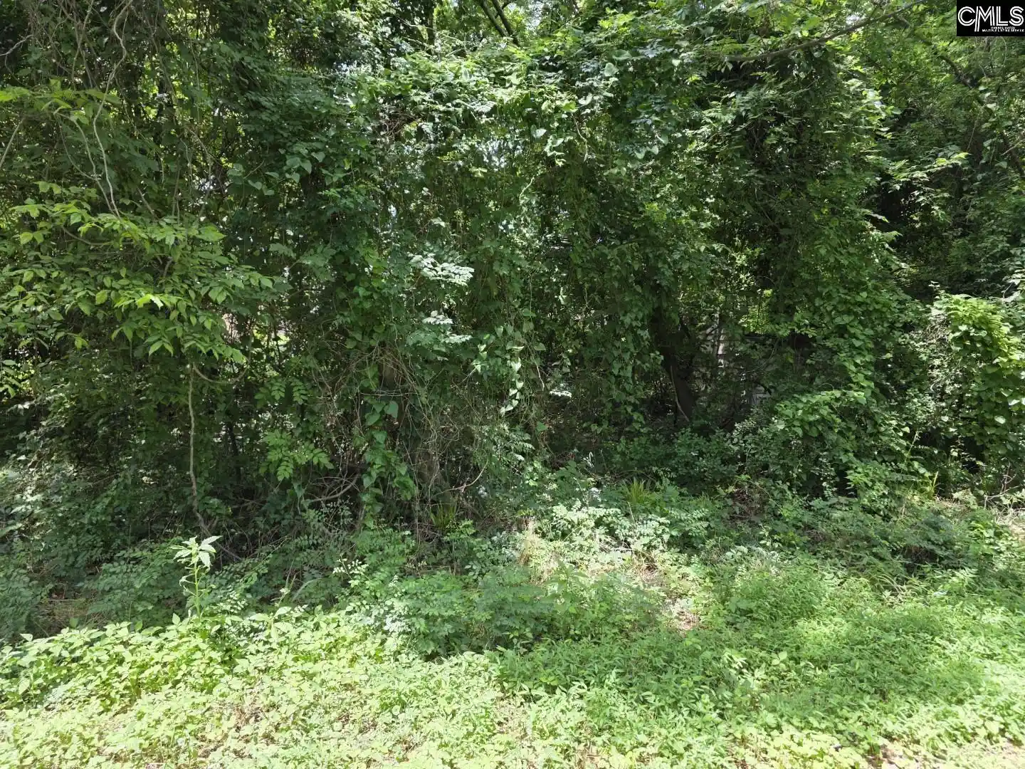 Photo 2 of Land for sale at 2729 Harlem, Columbia, SC 29209 | MLS# 625771 | Listing updated on 2026-07-31