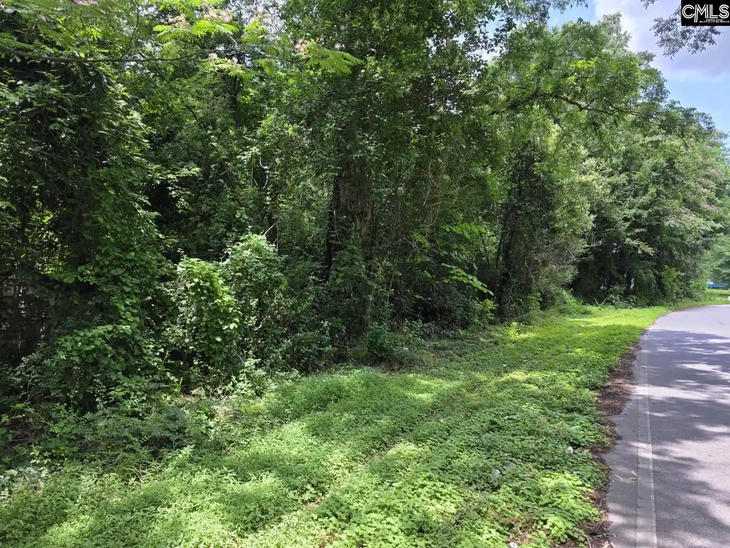 Photo 3 of Land for sale at 2729 Harlem, Columbia, SC 29209 | MLS# 625771 | Listing updated on 2026-07-31
