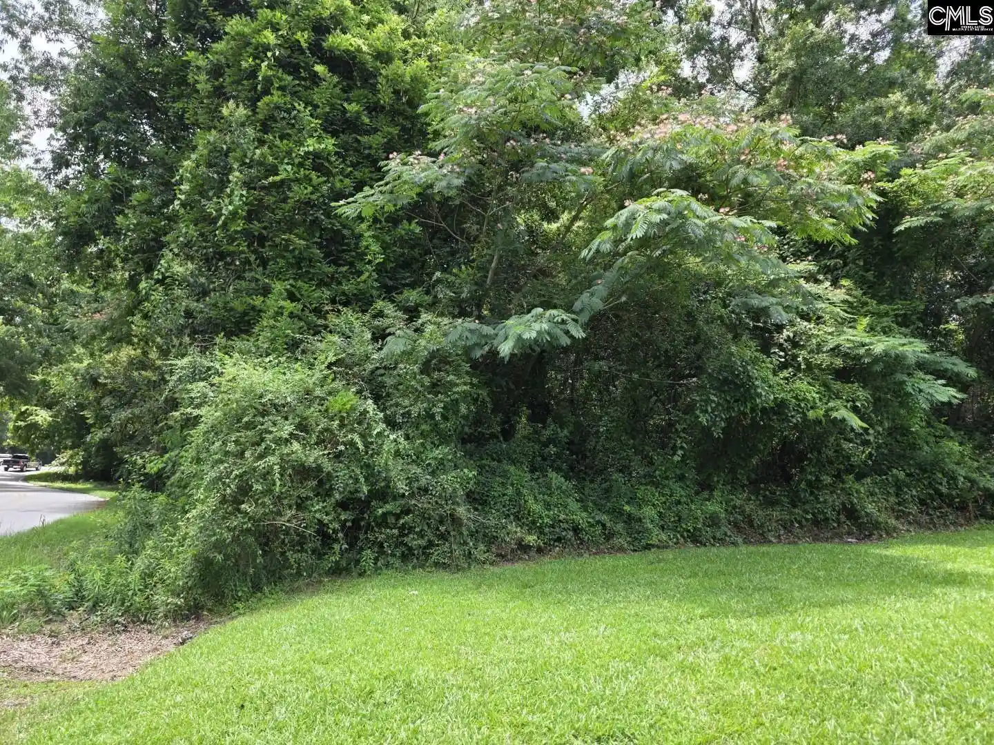 Photo 3 of Land for sale at 2729 Harlem, Columbia, SC 29209 | MLS# 625771 | Listing updated on 2026-07-31