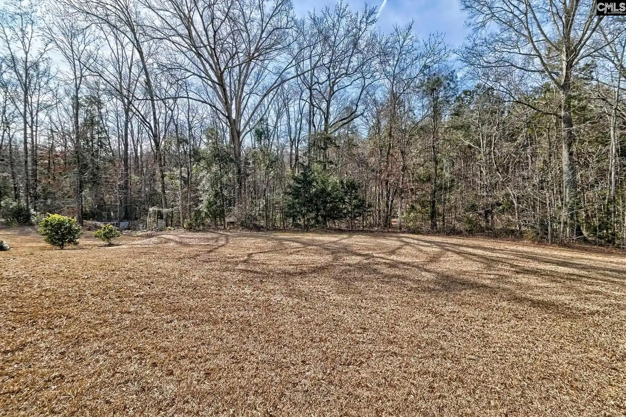 Photo 46 of Single family home for sale at 335 Saucer, Chapin, SC 29036 | MLS# 625996 | Listing updated on 2026-08-17