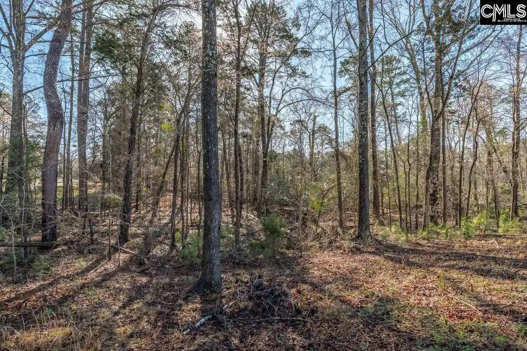 Photo 8 of Land for sale at 0 Bogater, Chapin, SC 29036 | MLS# 626014 | Listing updated on 2026-08-29