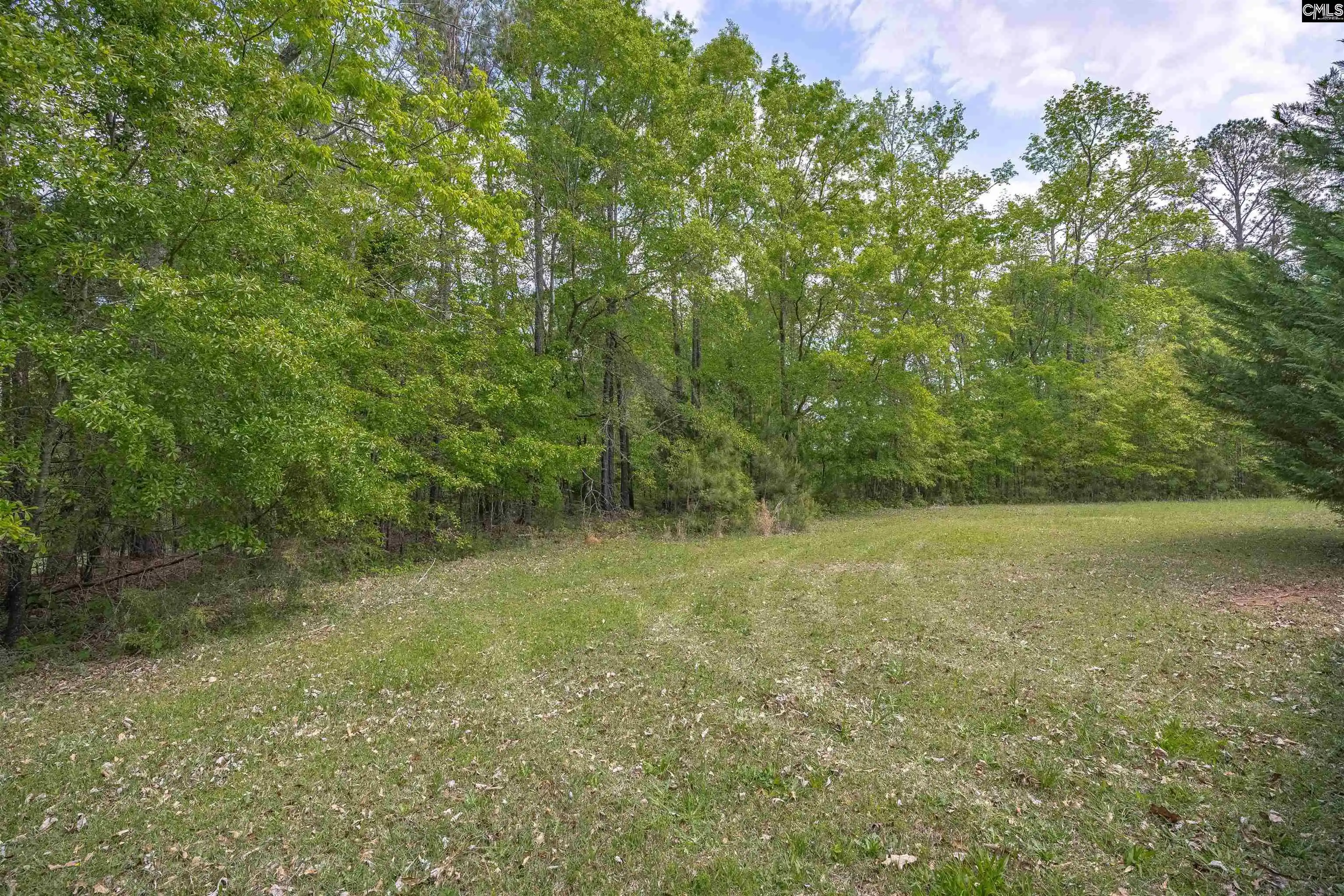 Homes for sale in Leesville, SC | 116 Mud Pie, Leesville, SC 29070 | MLS# 626067
