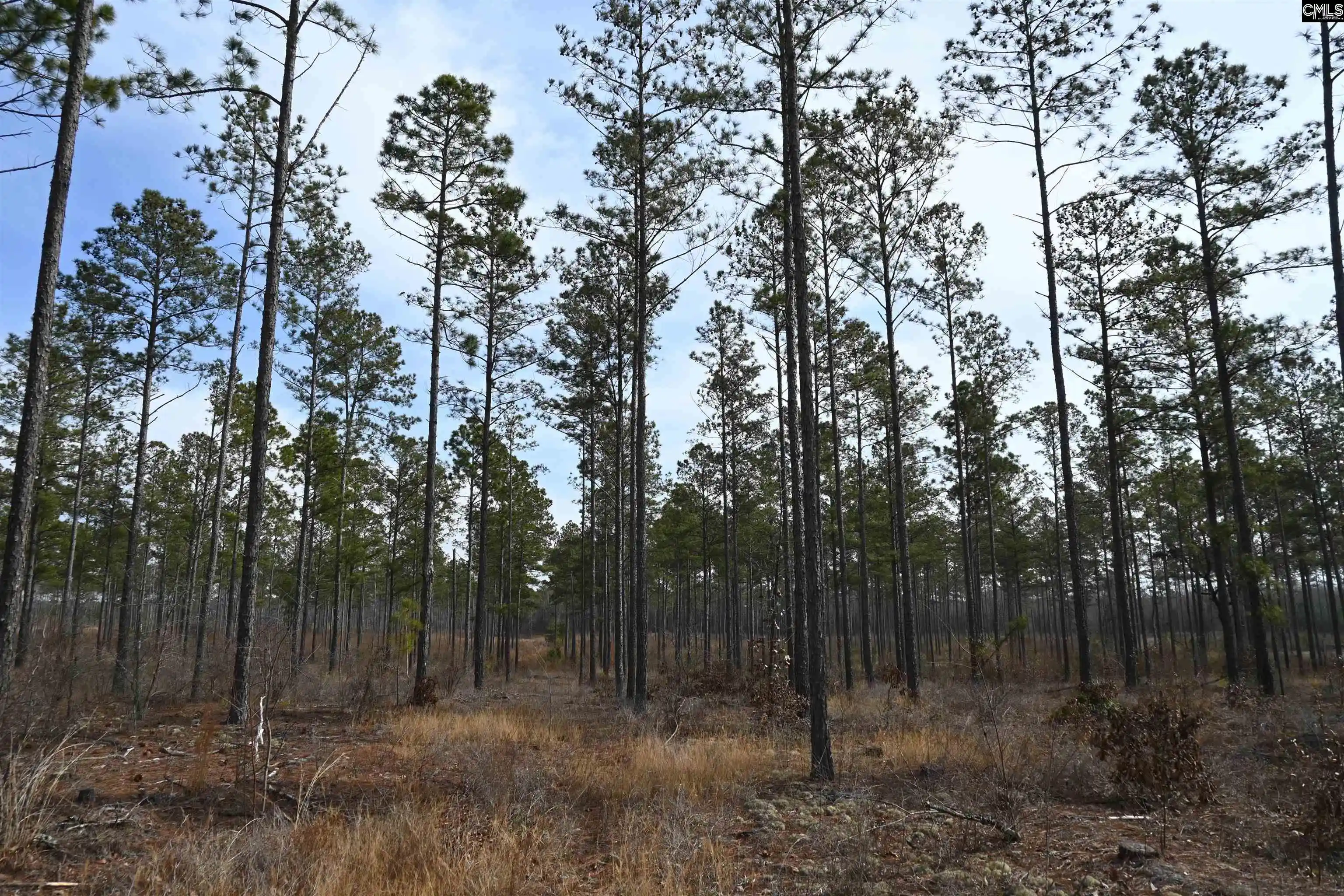 Photo 1 of Sale Pending at 622 Pickett Thomas, Camden, SC 29020 | MLS# 626158 | Listing updated on 2026-08-06
