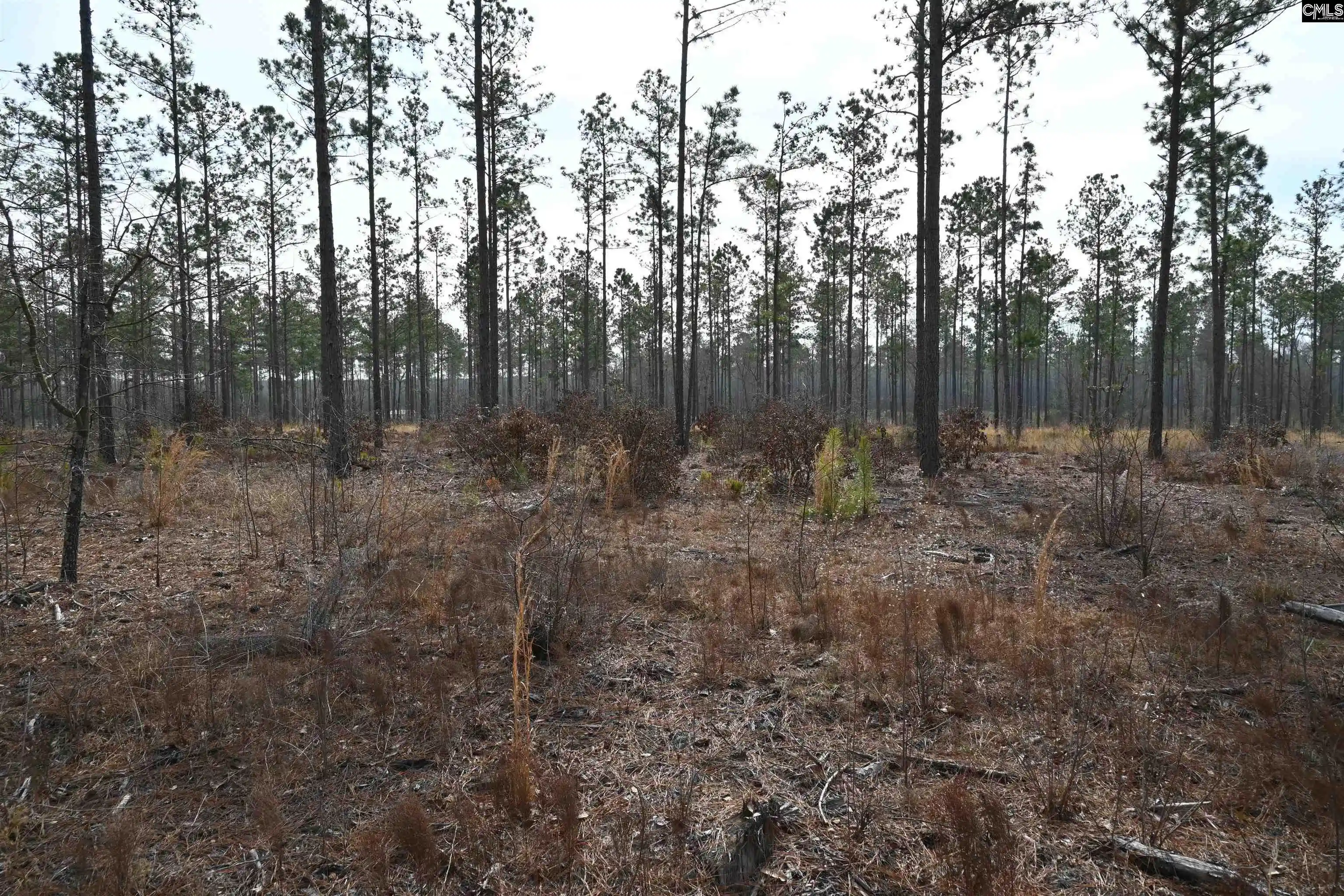 Photo 2 of Sale Pending at 622 Pickett Thomas, Camden, SC 29020 | MLS# 626158 | Listing updated on 2026-08-06