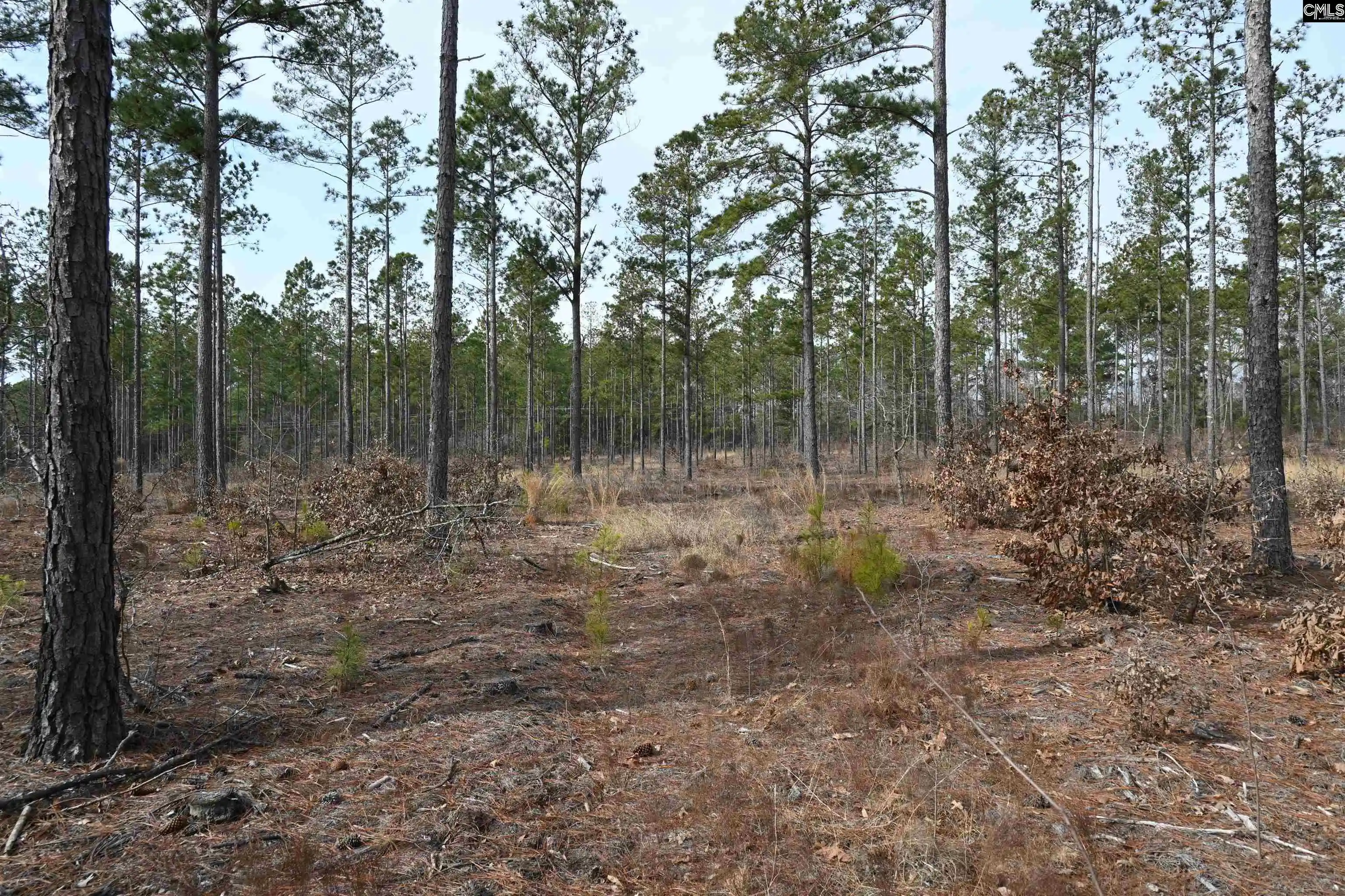 Photo 3 of Sale Pending at 622 Pickett Thomas, Camden, SC 29020 | MLS# 626158 | Listing updated on 2026-08-06