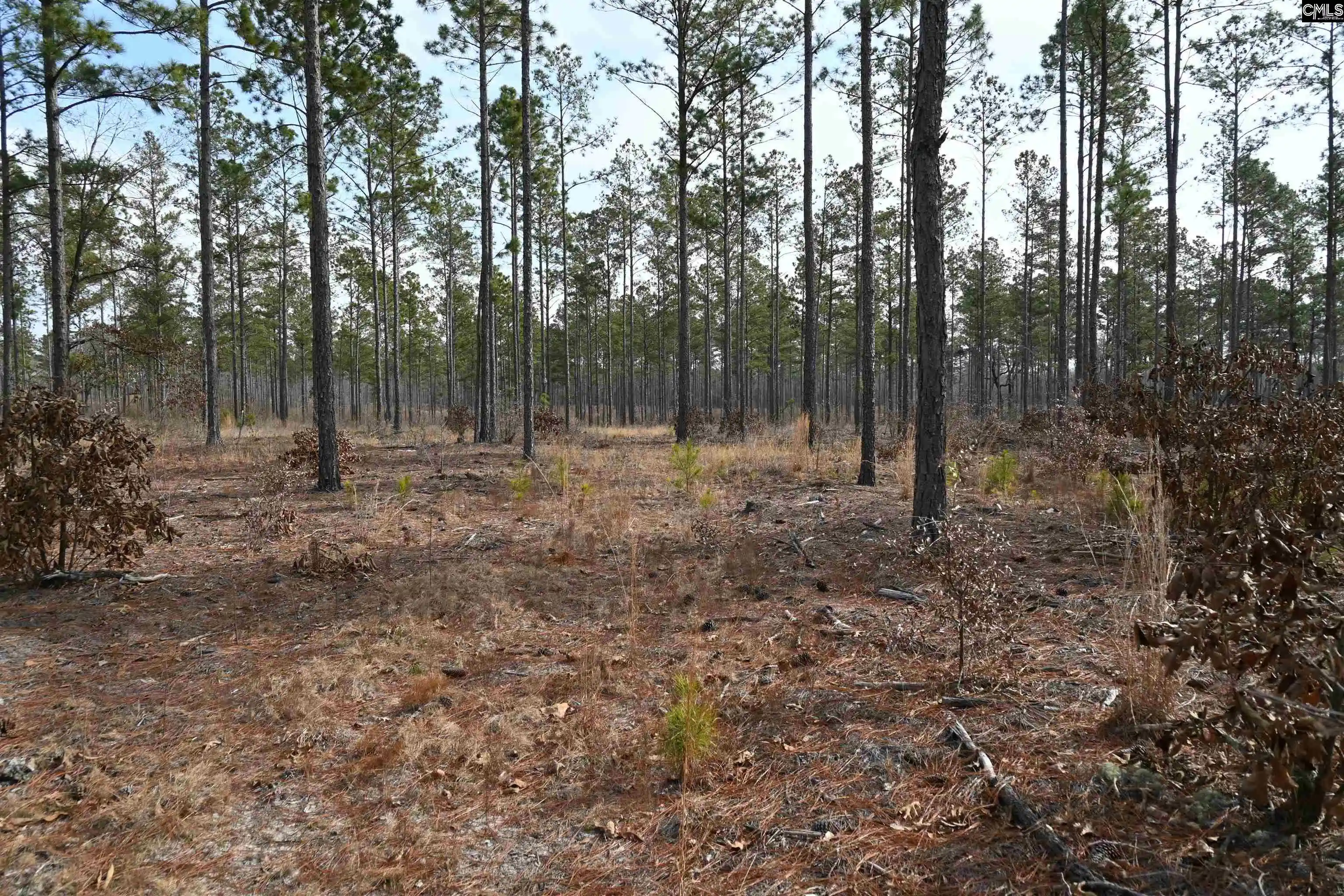 Photo 4 of Sale Pending at 622 Pickett Thomas, Camden, SC 29020 | MLS# 626158 | Listing updated on 2026-08-06