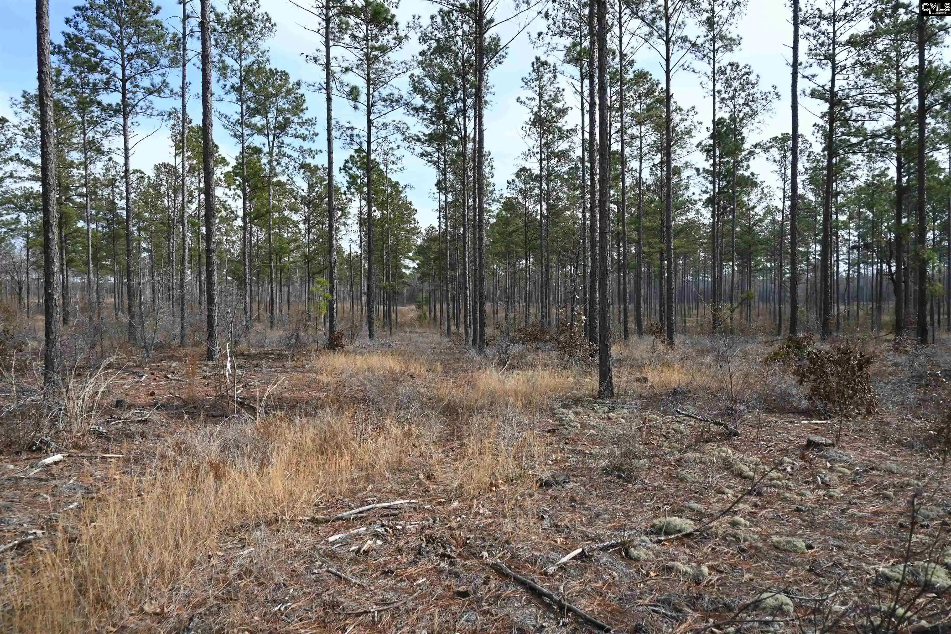 Photo 5 of Sale Pending at 622 Pickett Thomas, Camden, SC 29020 | MLS# 626158 | Listing updated on 2026-08-06