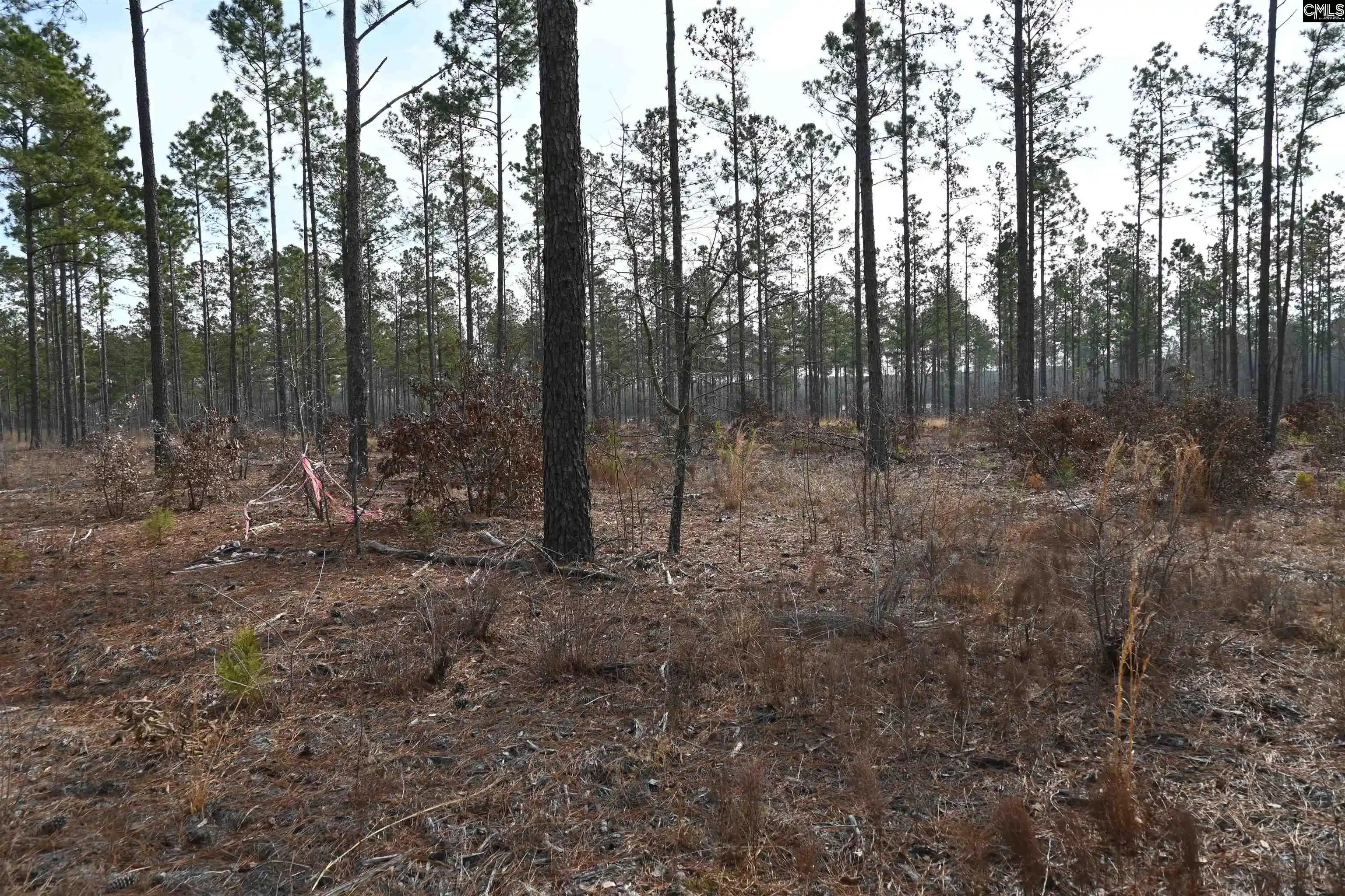 Photo 24 of Sale Pending at 622 Pickett Thomas, Camden, SC 29020 | MLS# 626158 | Listing updated on 2026-08-06