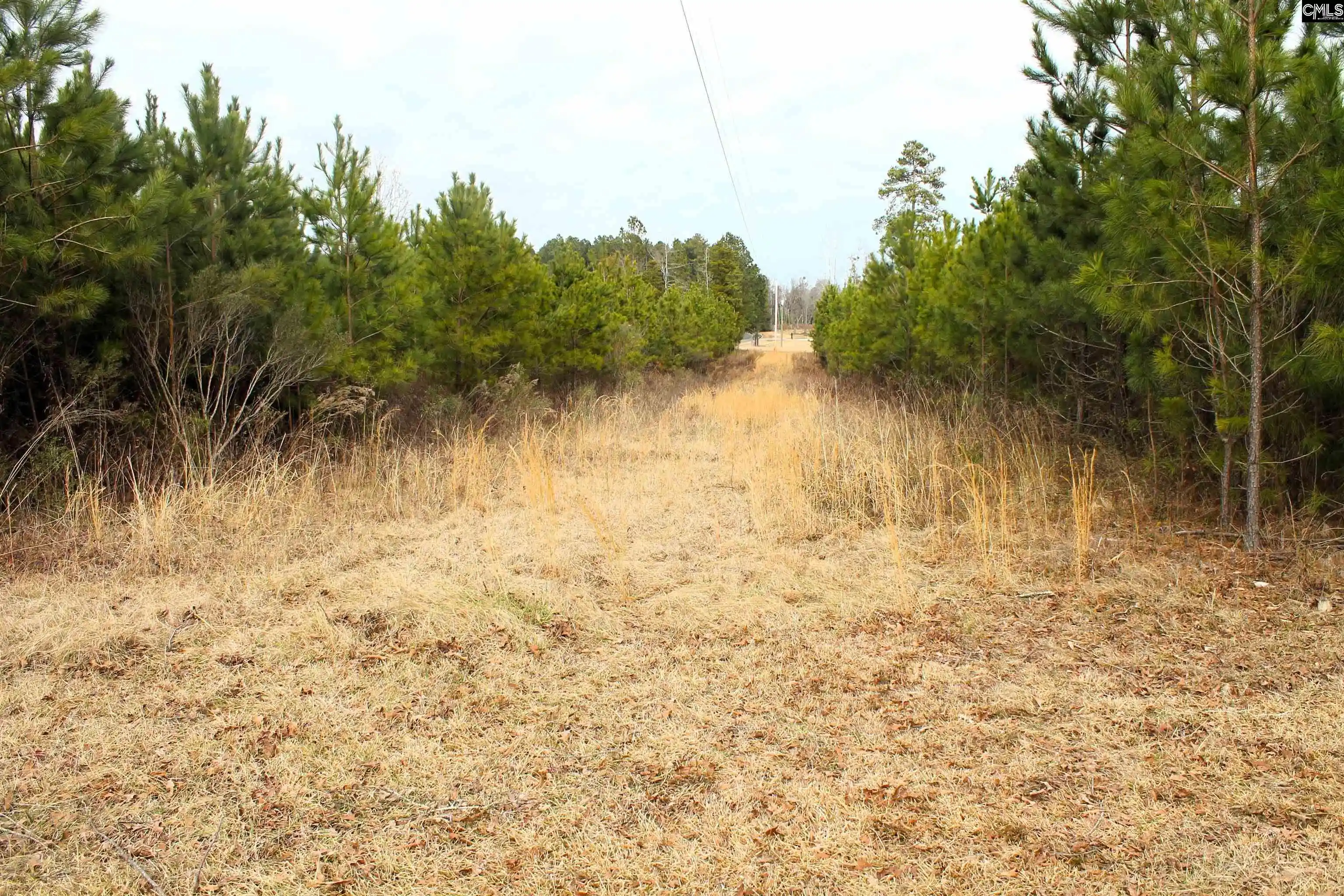 Photo 1 of Sale Pending at Tbd Crooked Creek, Chapin, SC 29036 | MLS# 626495 | Listing updated on 2026-05-09
