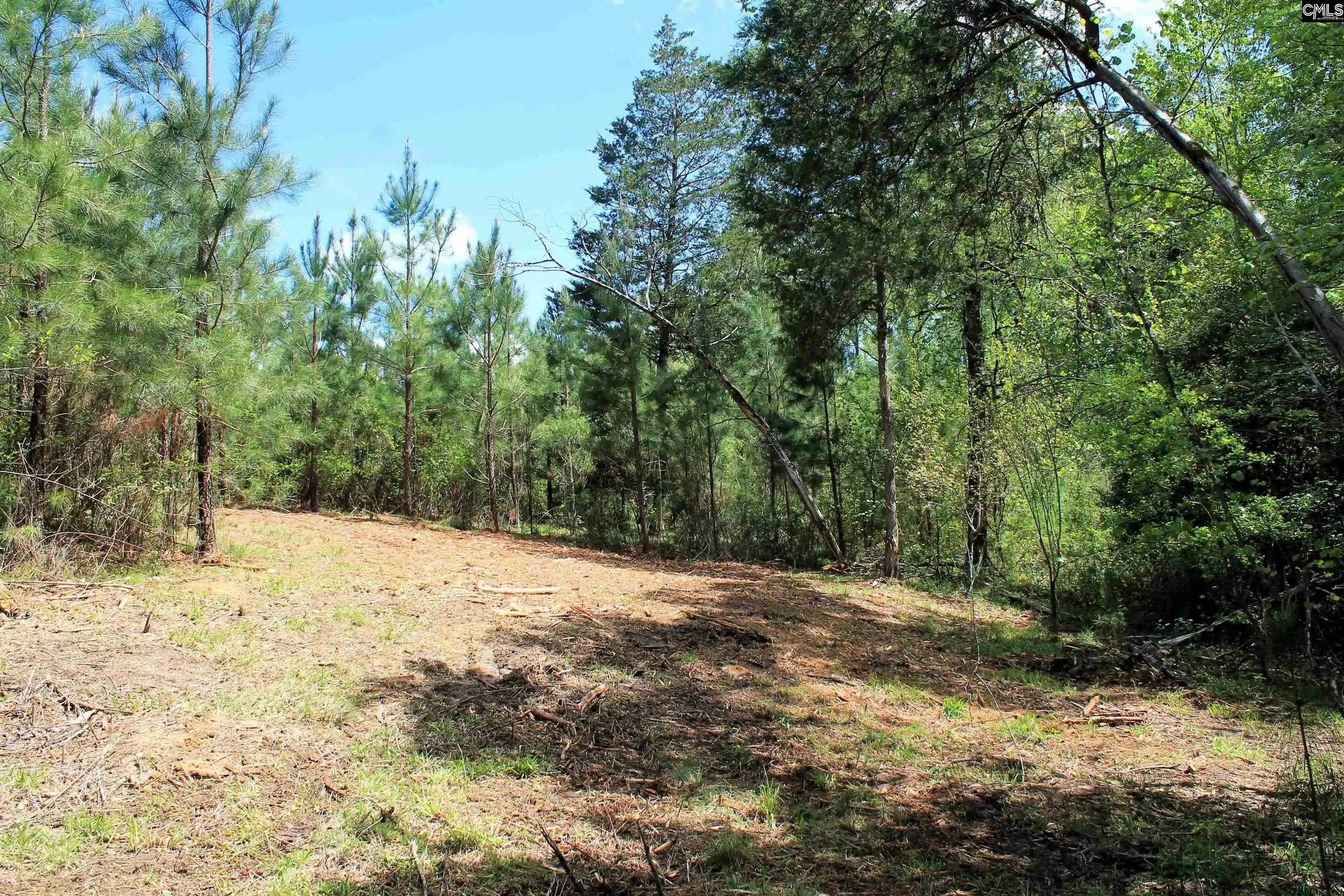 Photo 2 of Sale Pending at Tbd Crooked Creek, Chapin, SC 29036 | MLS# 626495 | Listing updated on 2026-05-09