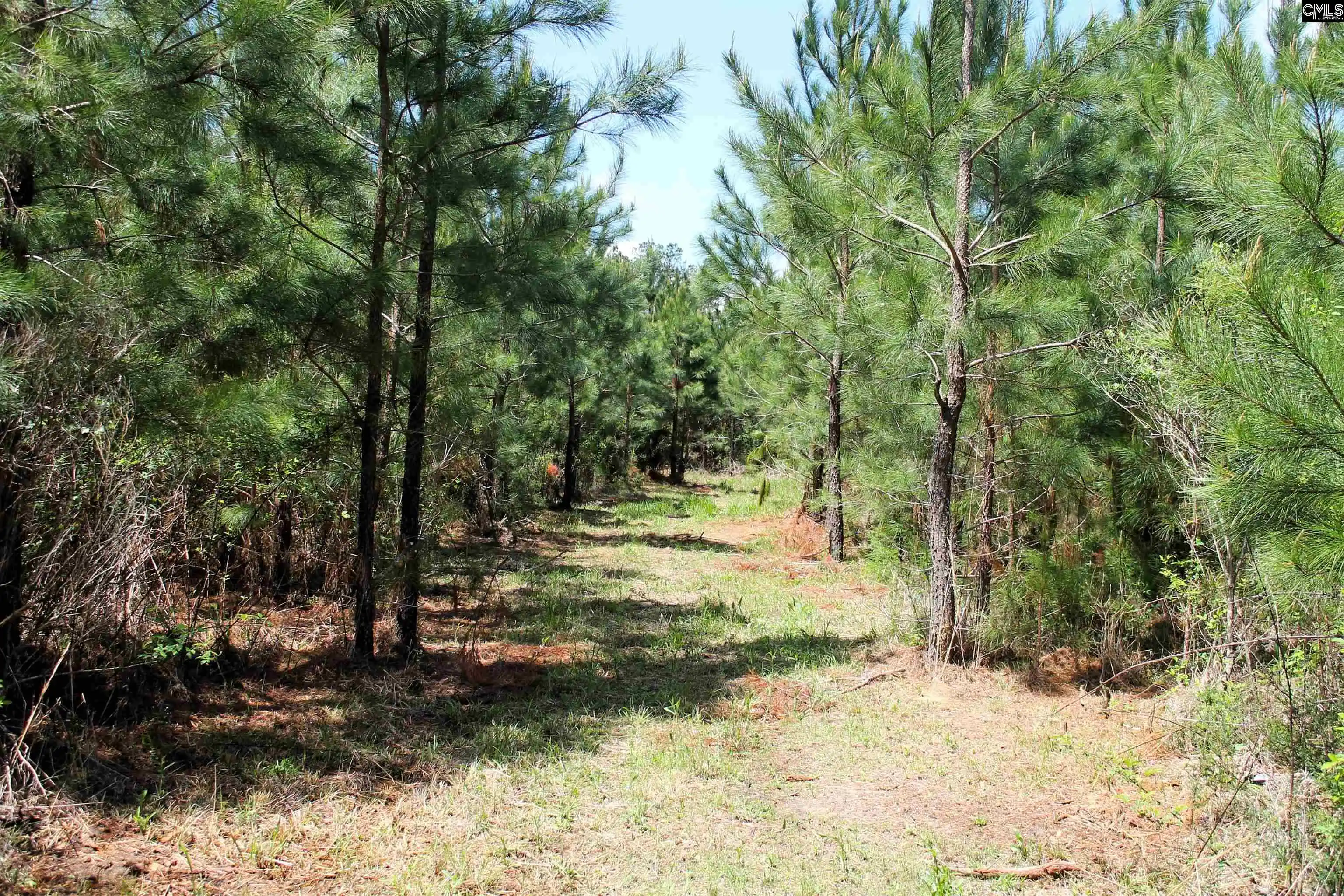 Photo 3 of Sale Pending at Tbd Crooked Creek, Chapin, SC 29036 | MLS# 626495 | Listing updated on 2026-05-09