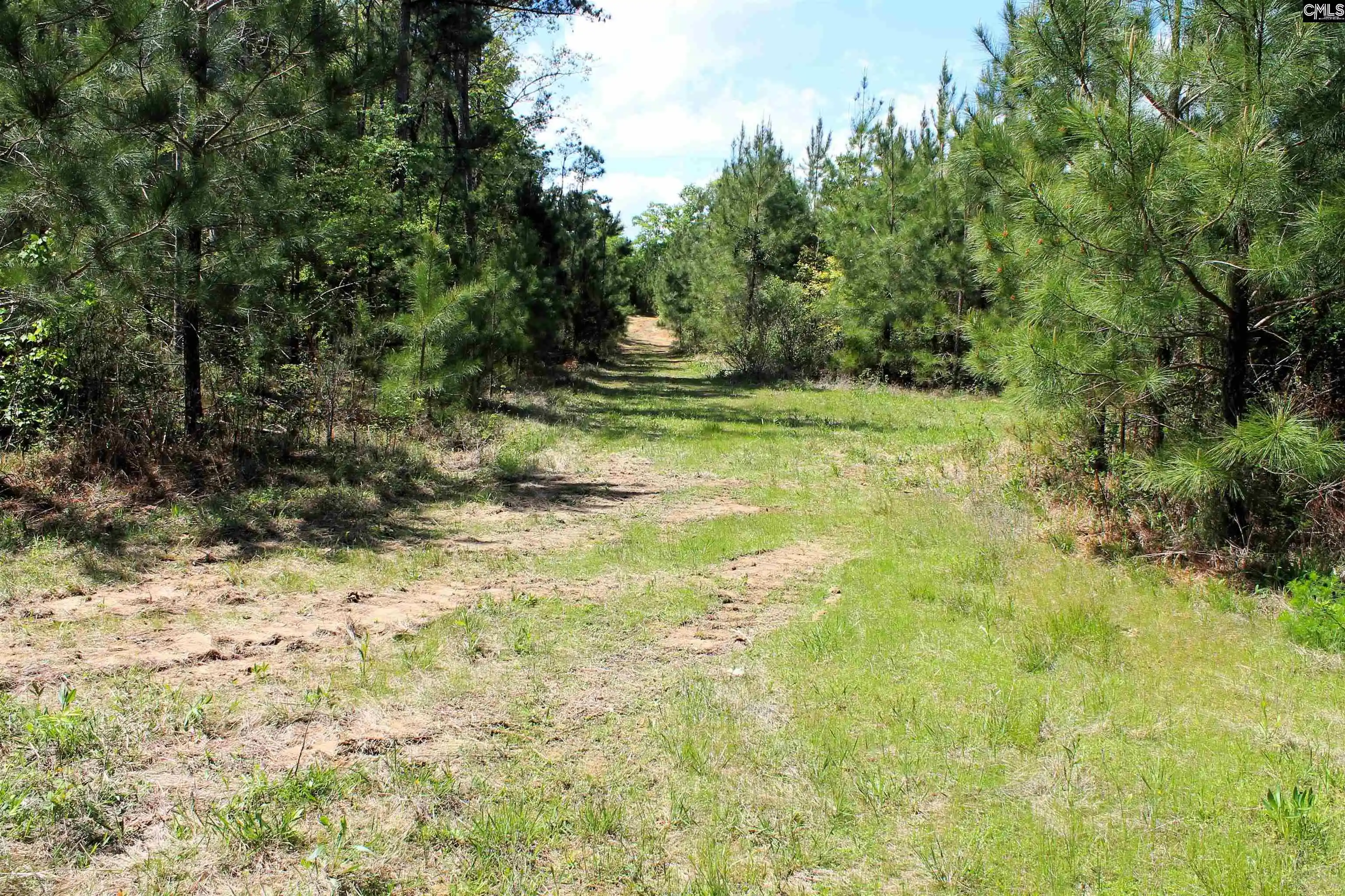 Photo 4 of Sale Pending at Tbd Crooked Creek, Chapin, SC 29036 | MLS# 626495 | Listing updated on 2026-05-09