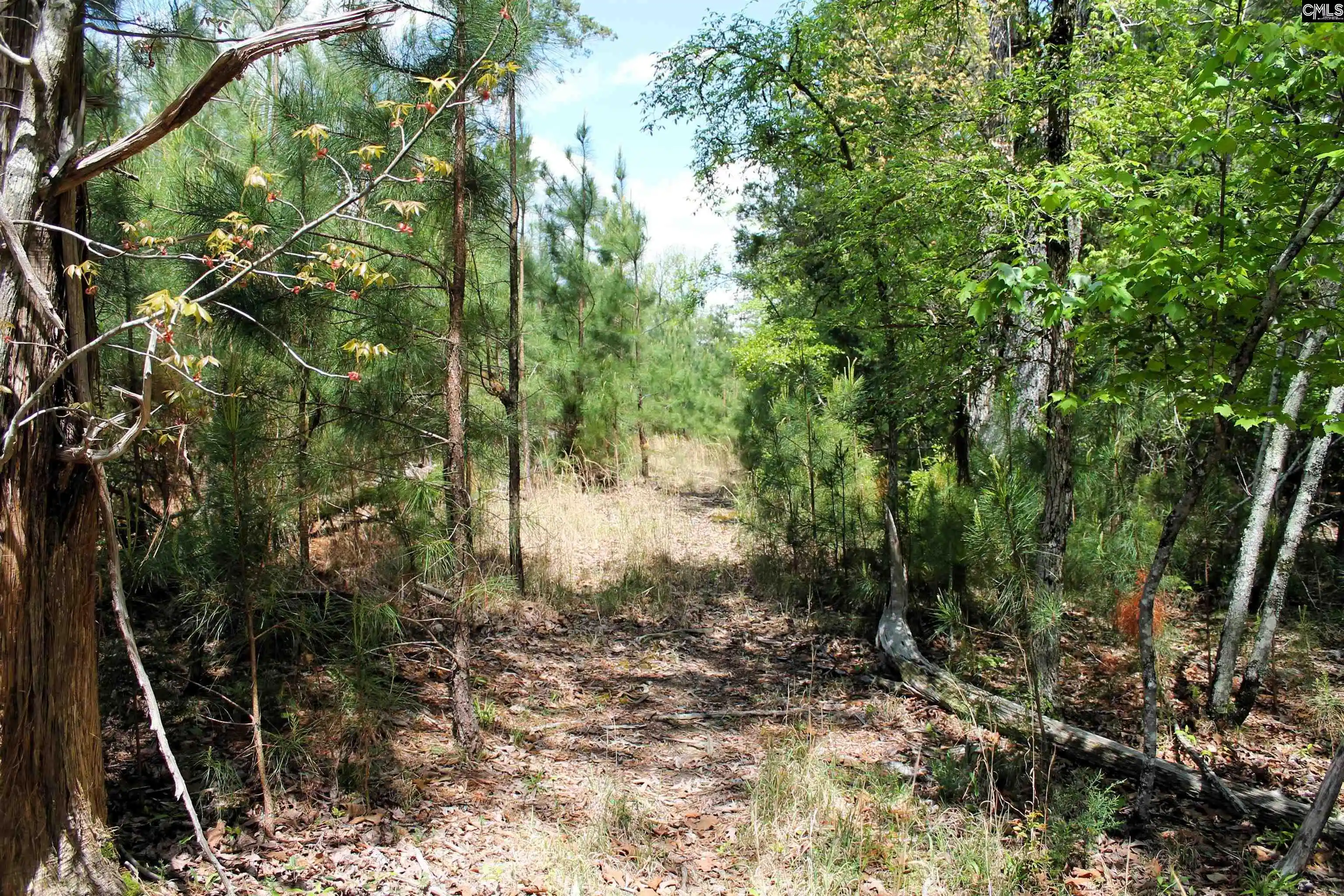 Photo 5 of Sale Pending at Tbd Crooked Creek, Chapin, SC 29036 | MLS# 626495 | Listing updated on 2026-05-09