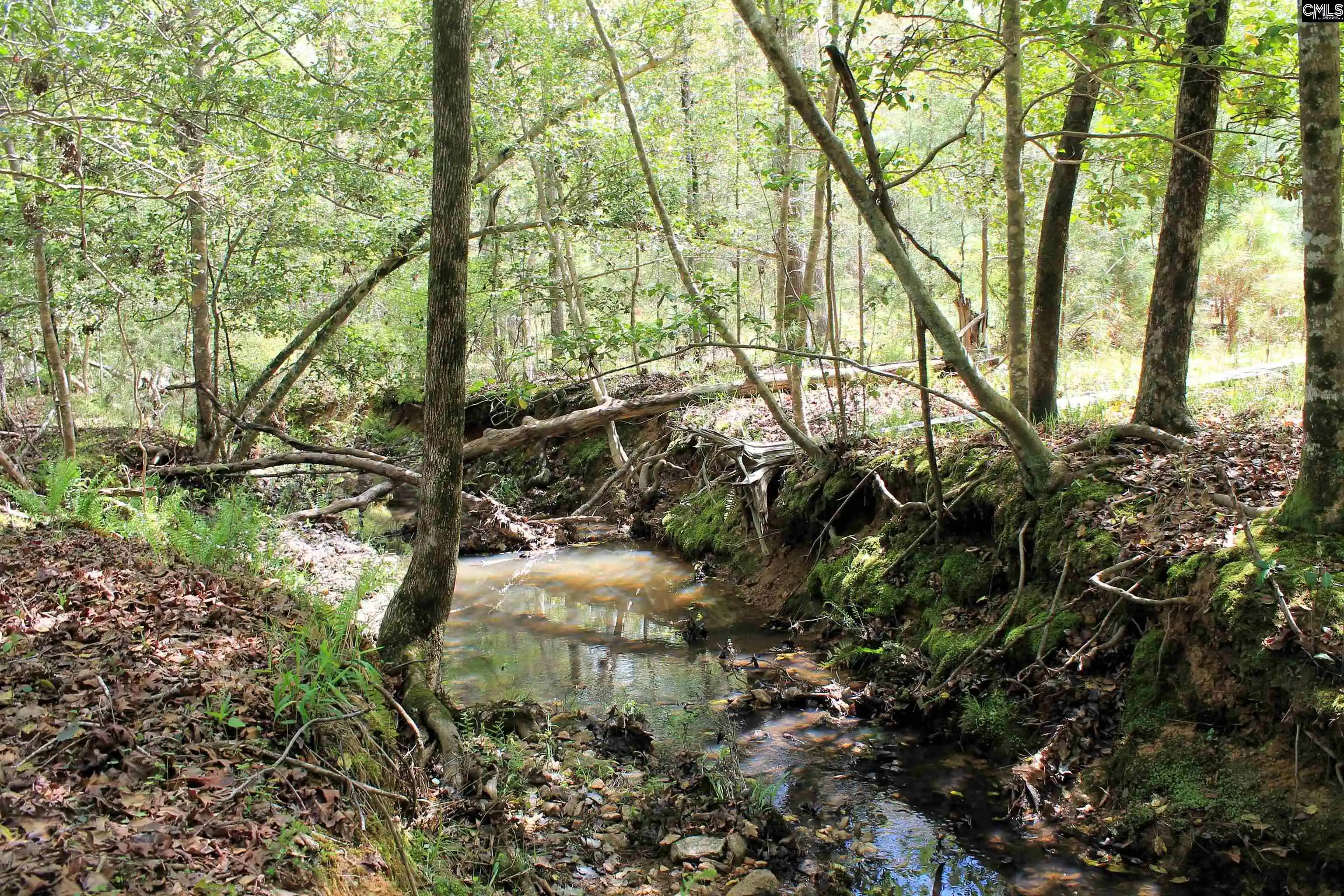 Photo 20 of Sale Pending at Tbd Crooked Creek, Chapin, SC 29036 | MLS# 626495 | Listing updated on 2026-05-09