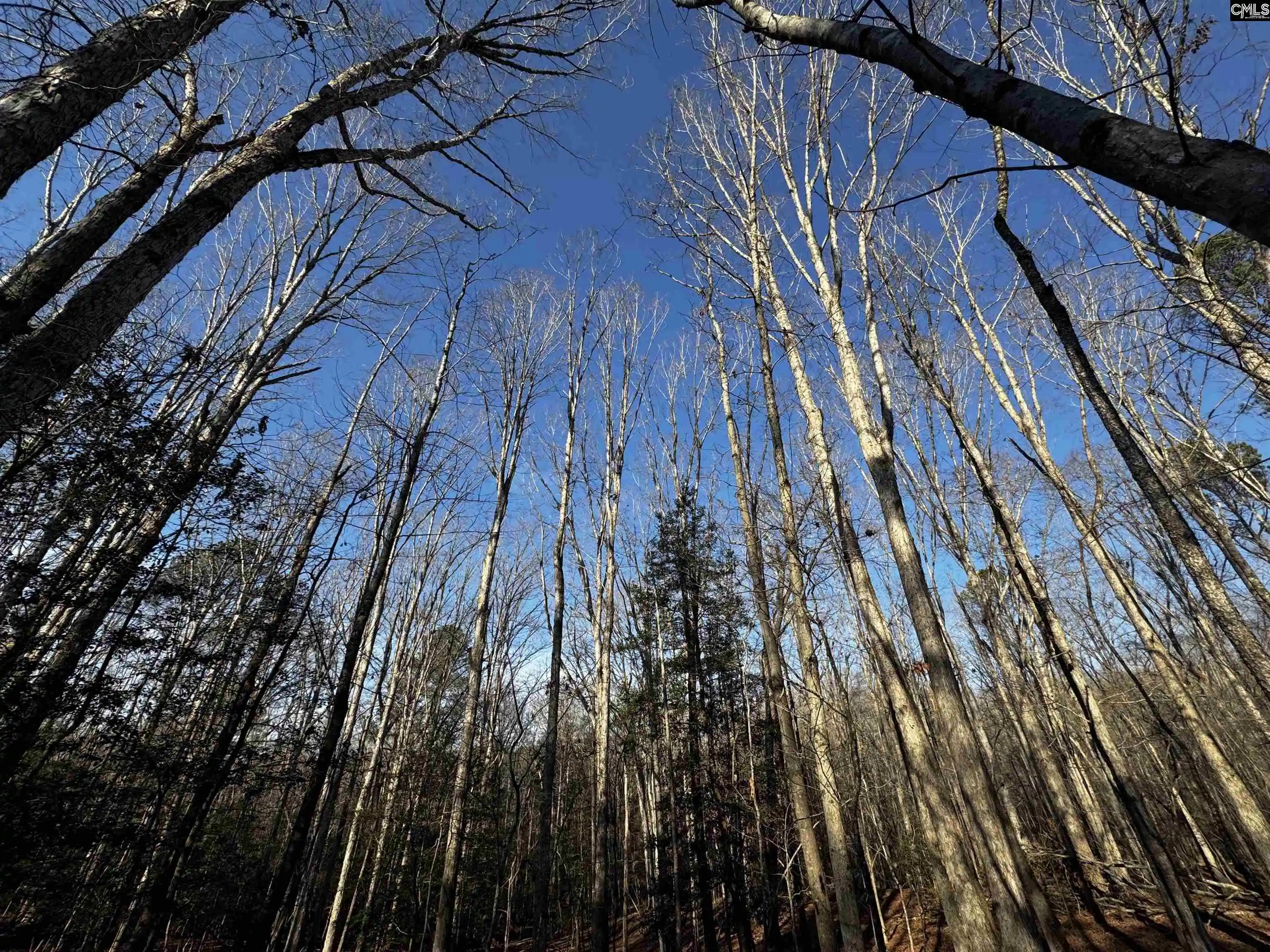Photo 1 of Land for sale at 0 Mann, Winnsboro, SC 29180 | MLS# 626601 | Listing updated on 2026-08-24